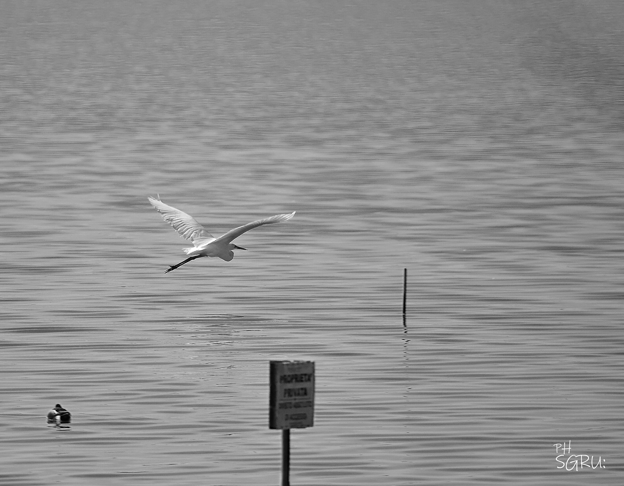 volo sul pantano privato