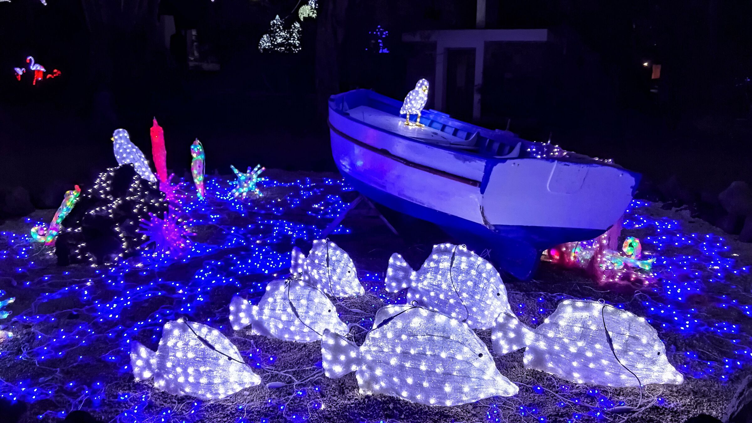 notte parco a Ischia 30/12/2017