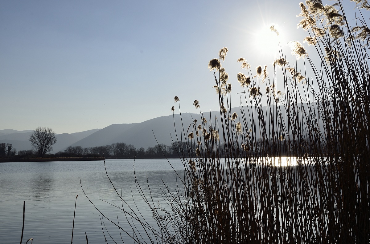 The silence of the lake