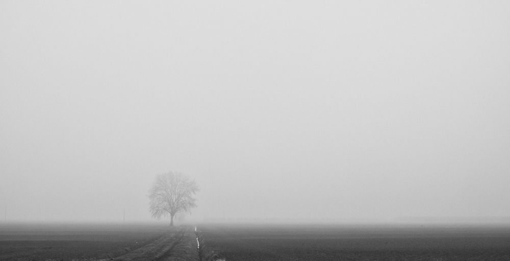 - La Terra é Piatta -