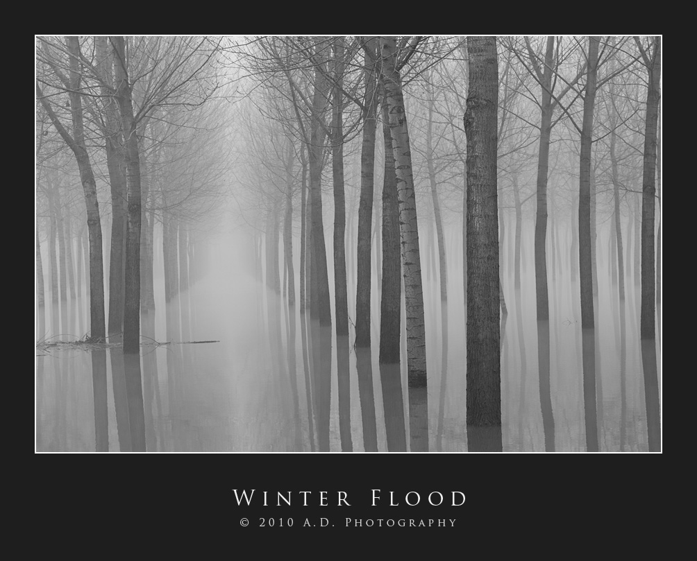 Winter Flood