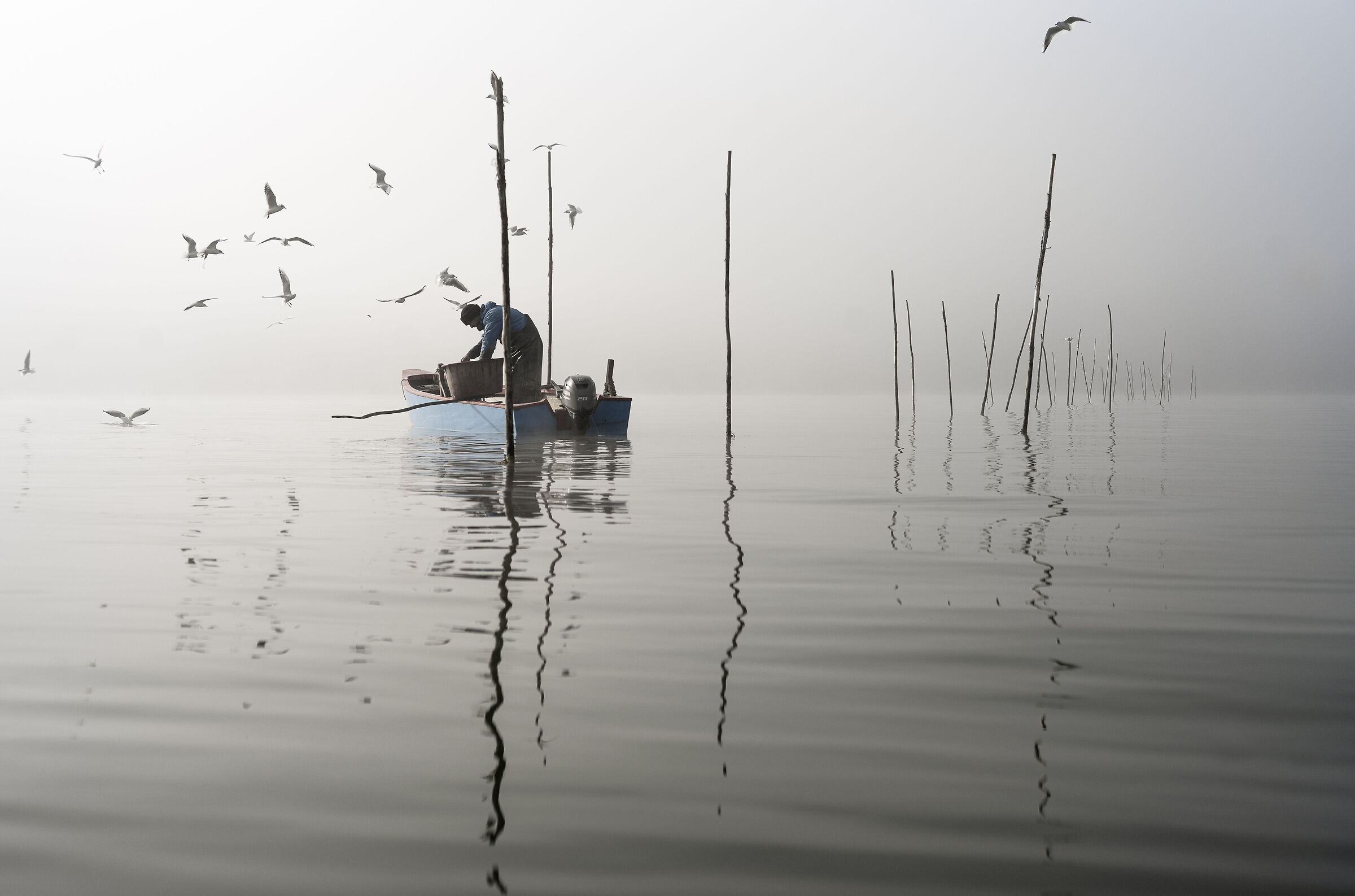" Bagliori di un nuovo giorno "