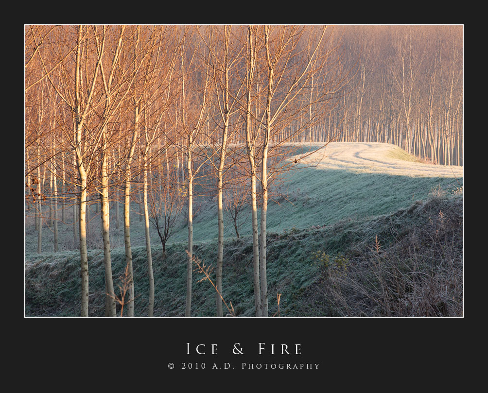 Ice & Fire