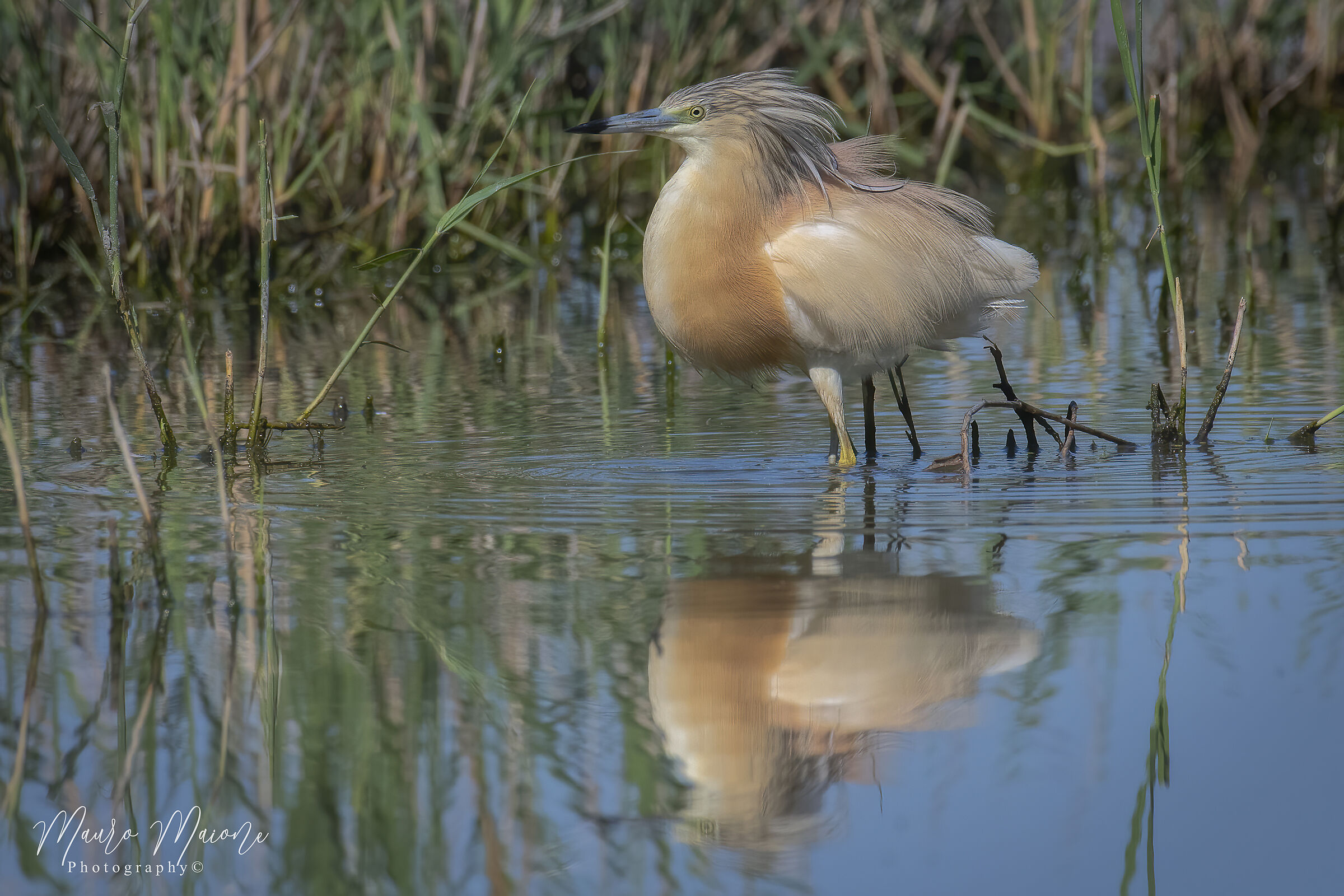 appena uscita dal parrucchiere