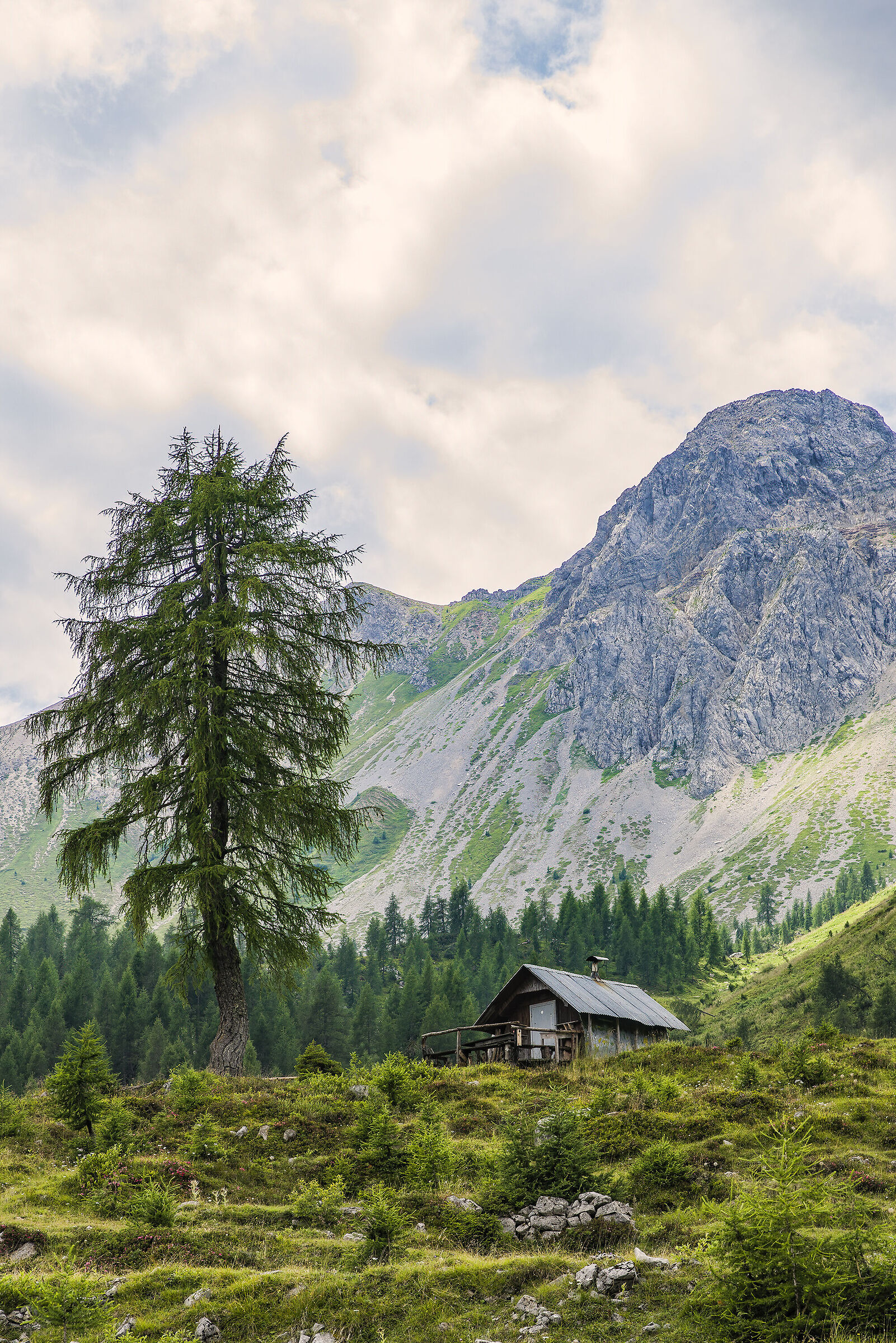 Carnic Alps -Casera rocket