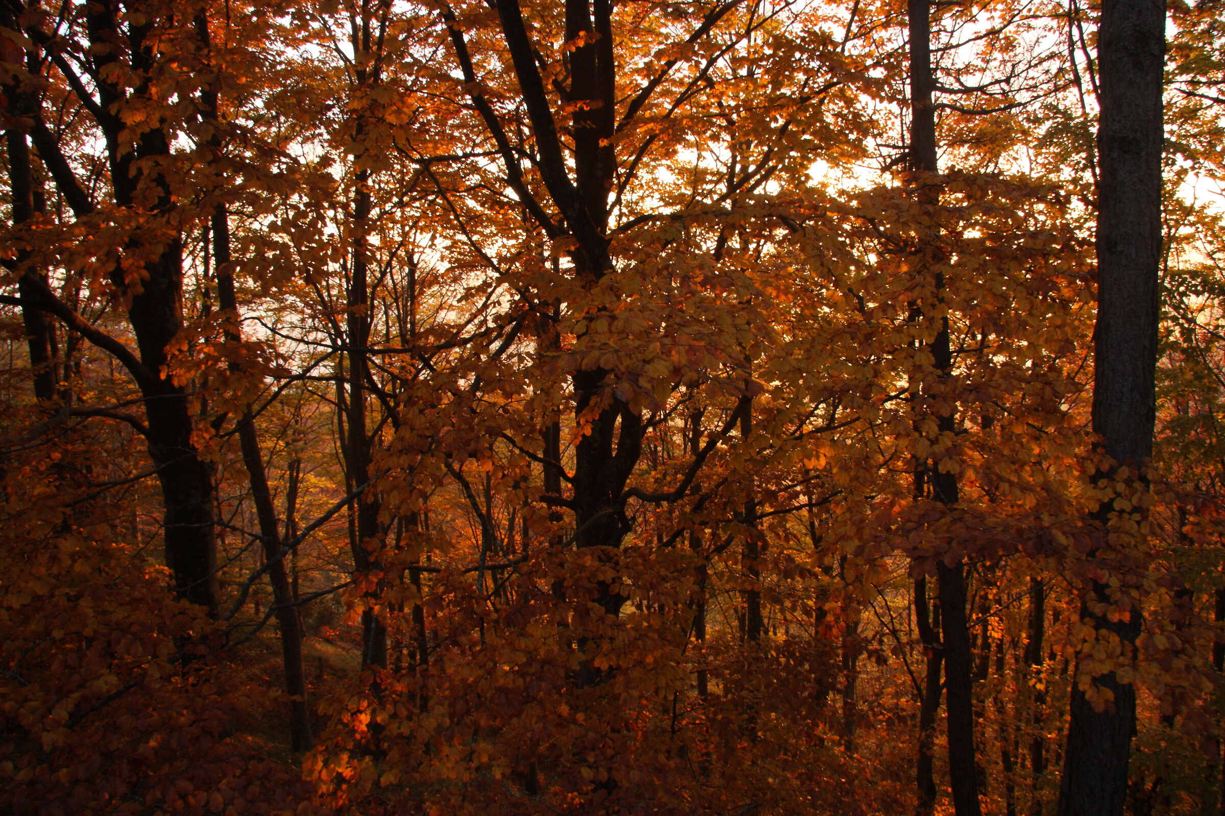tramonto in Casentino