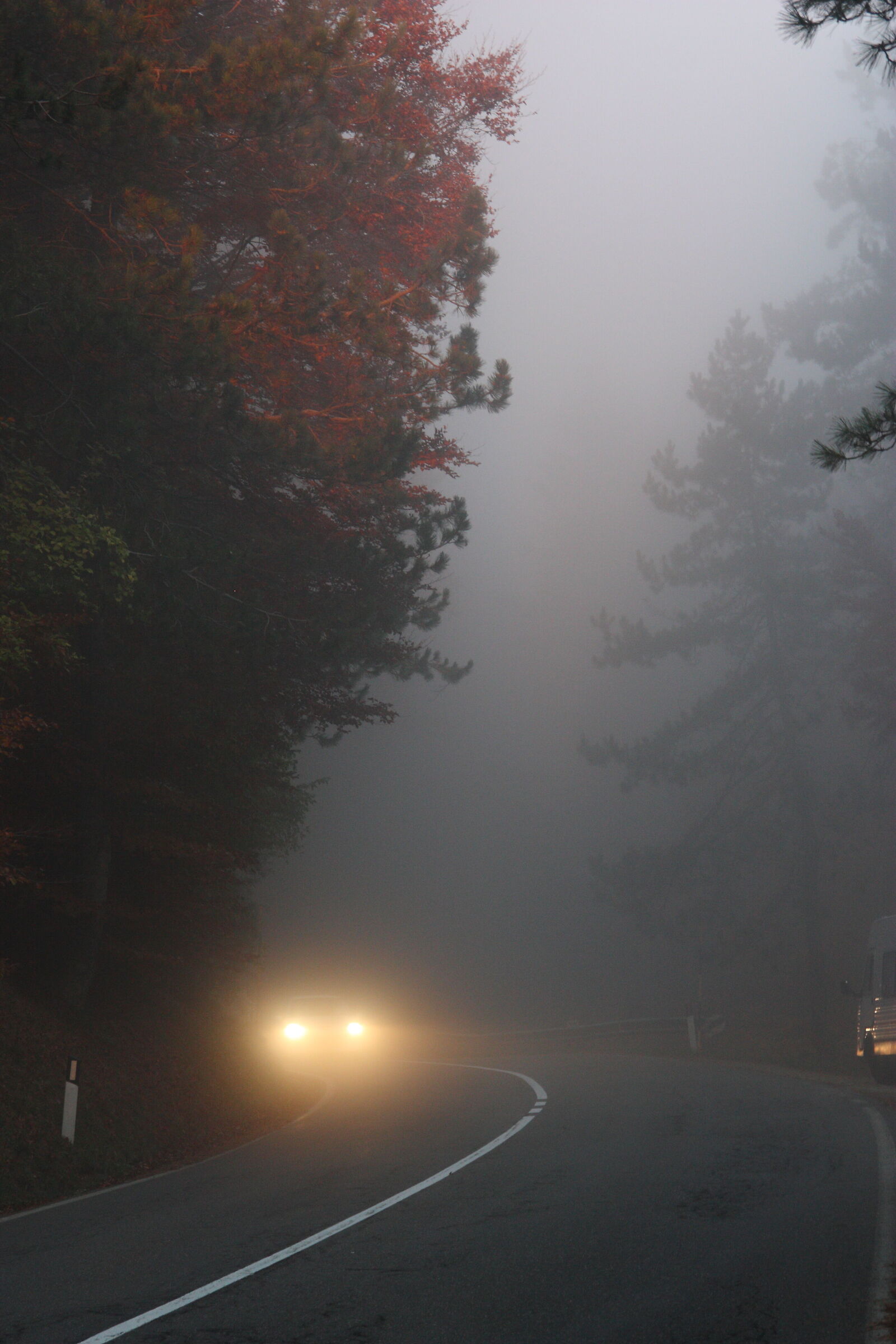 Nebbia in Casentino