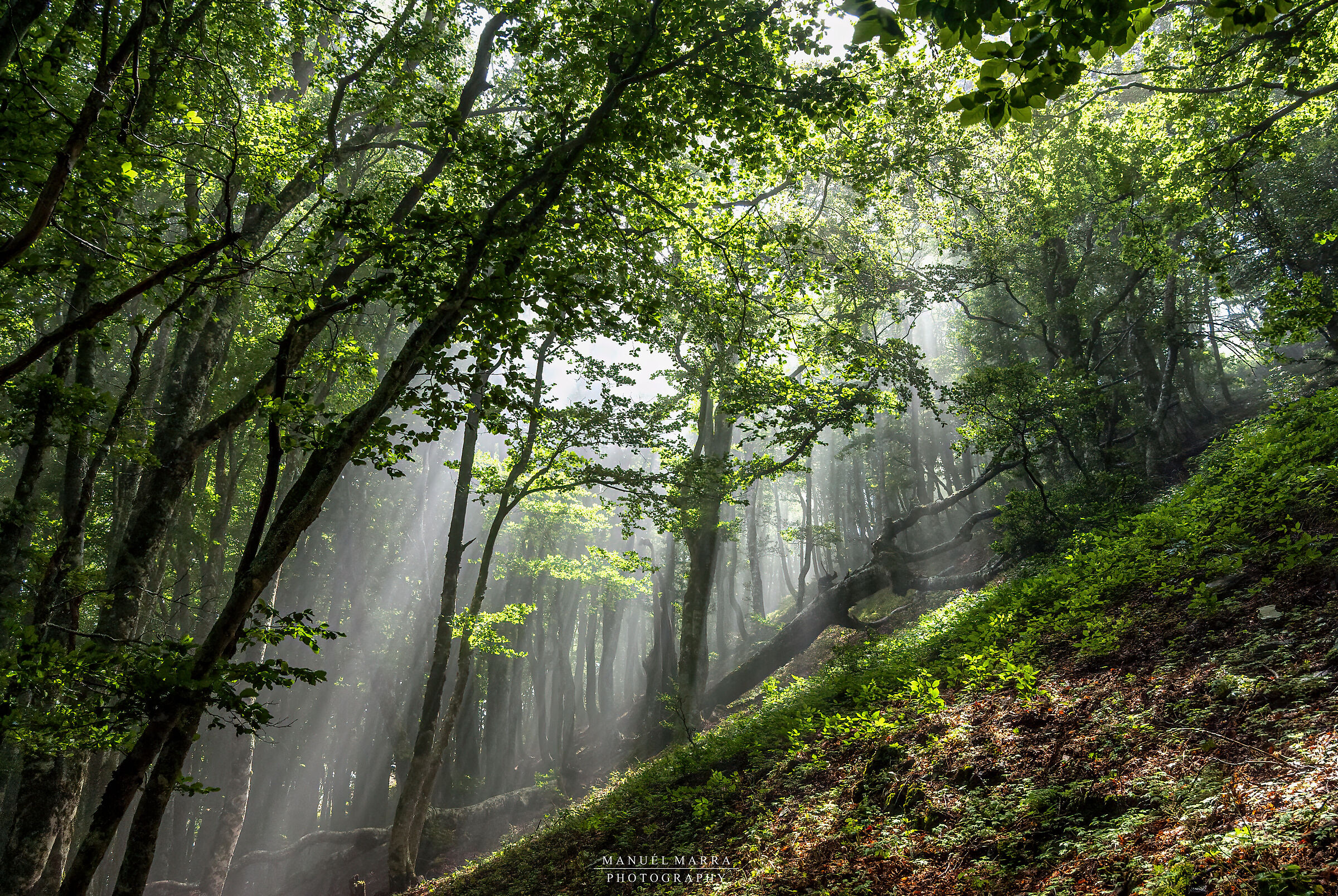 Infiltrazioni di luce...