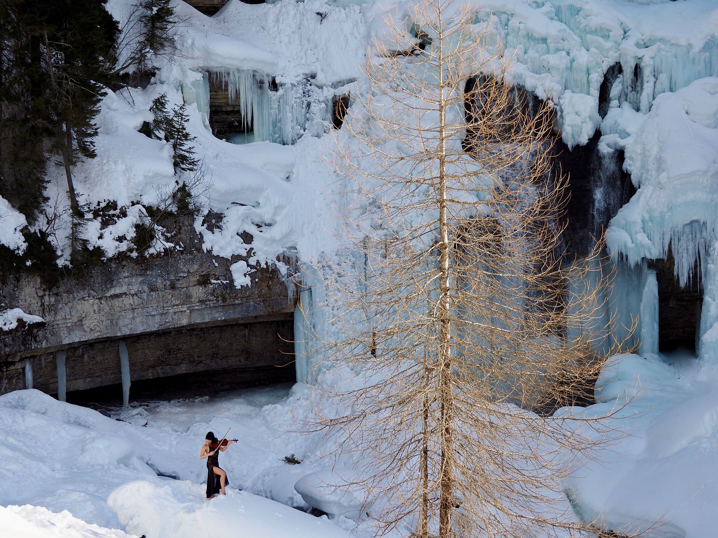 The Ice Violinist