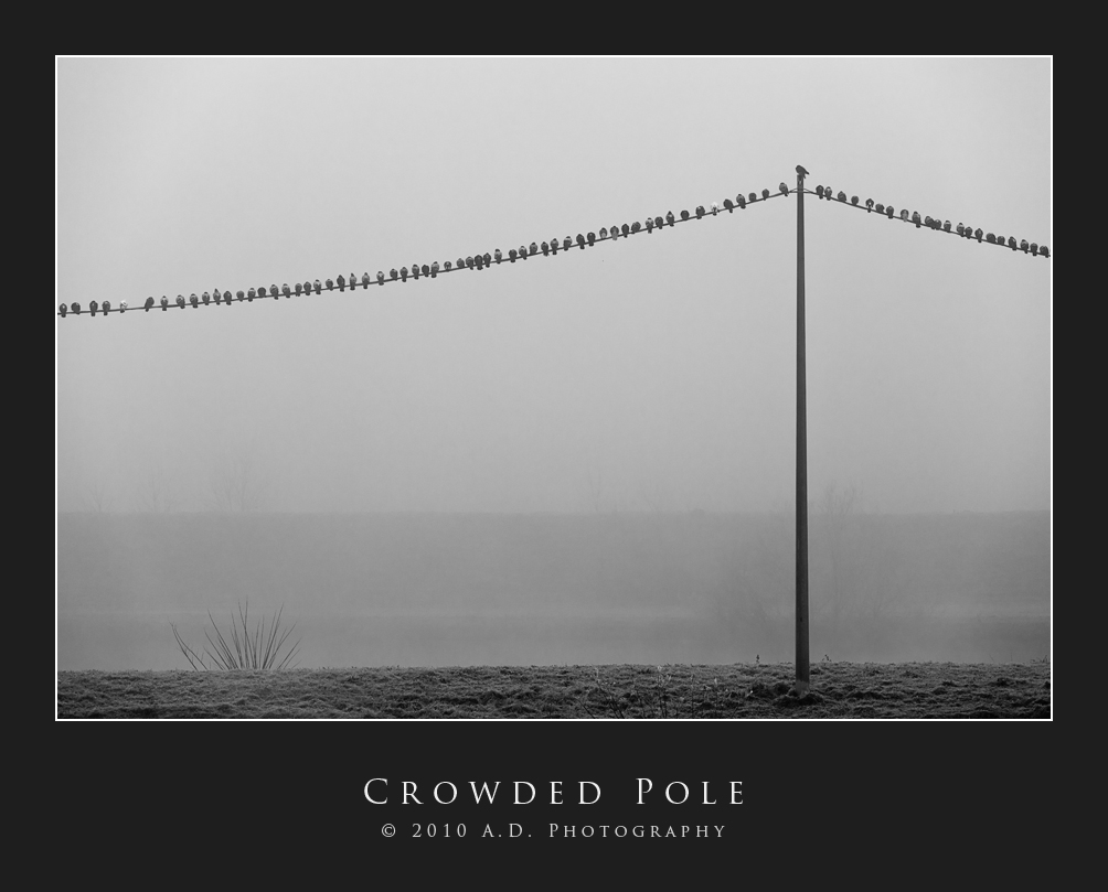 Crowded Pole