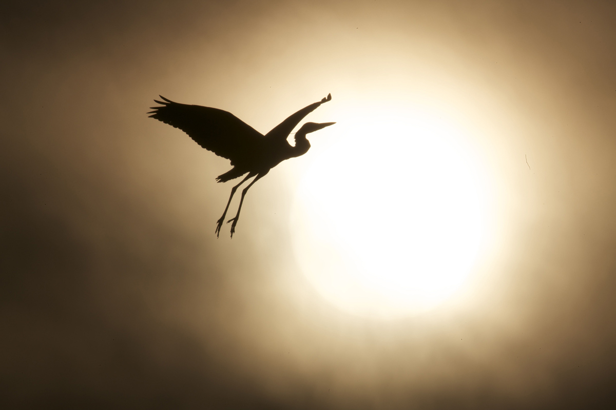 L'ombra mi ha lasciato....