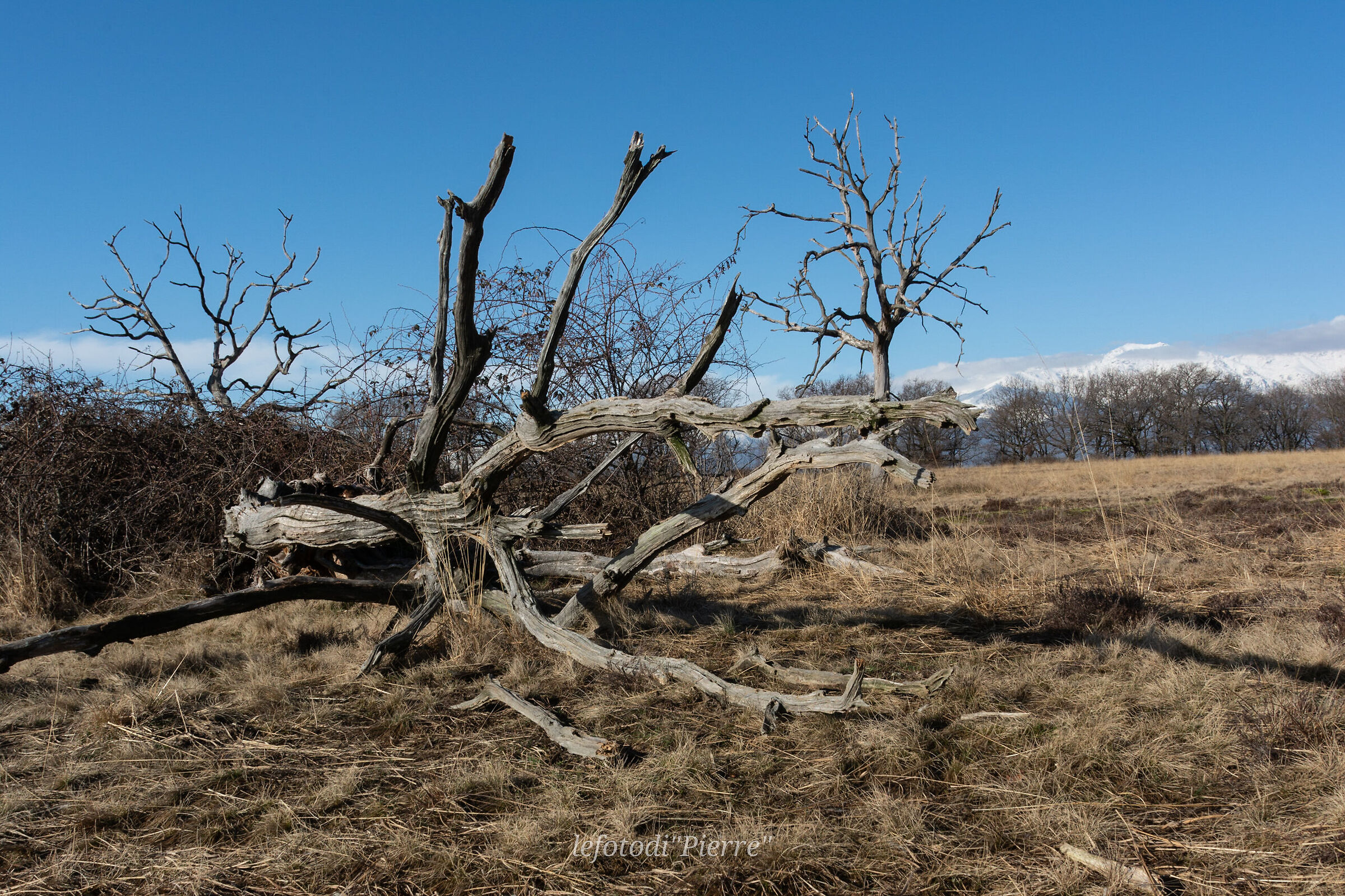 Wounded nature