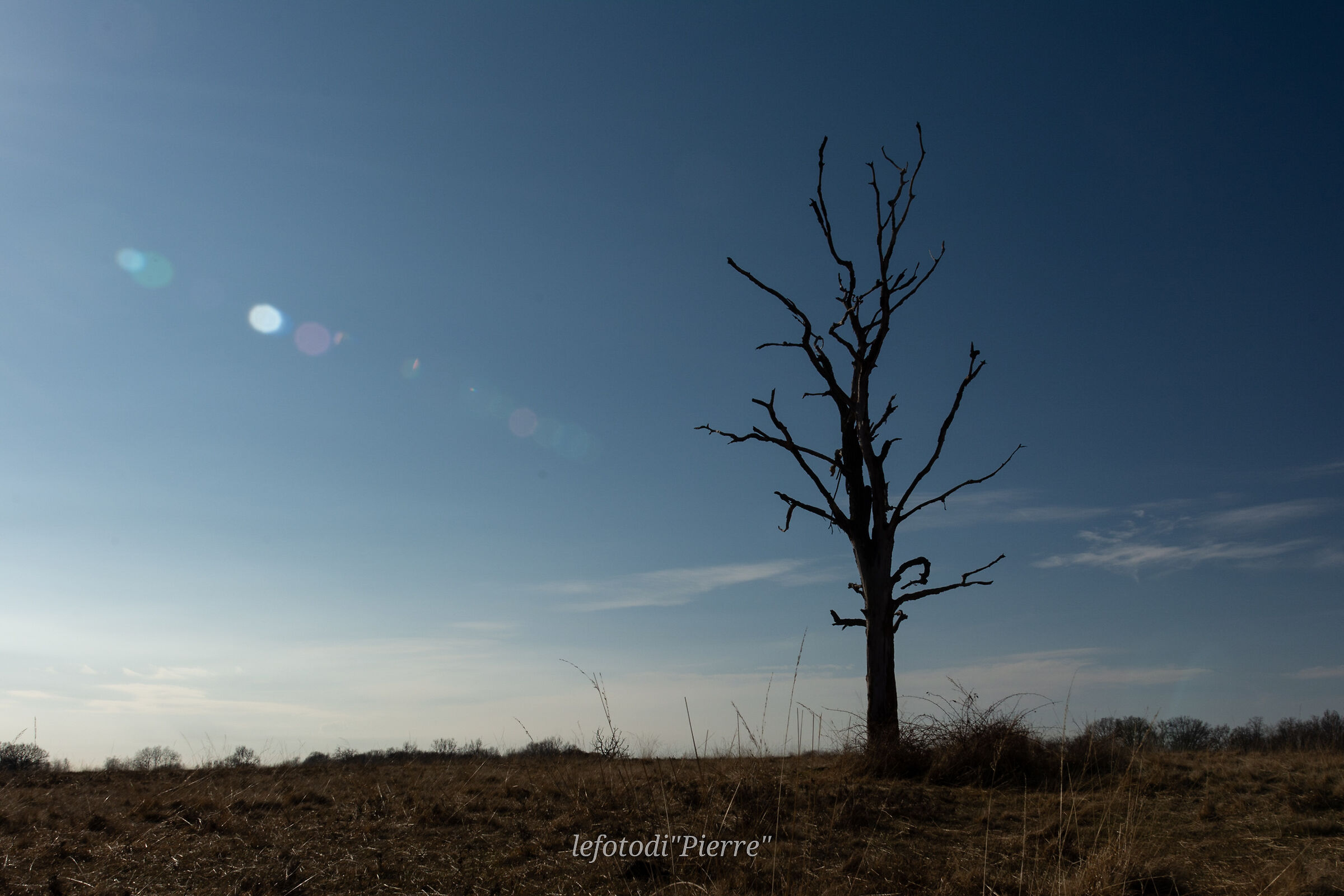Solitary, 19