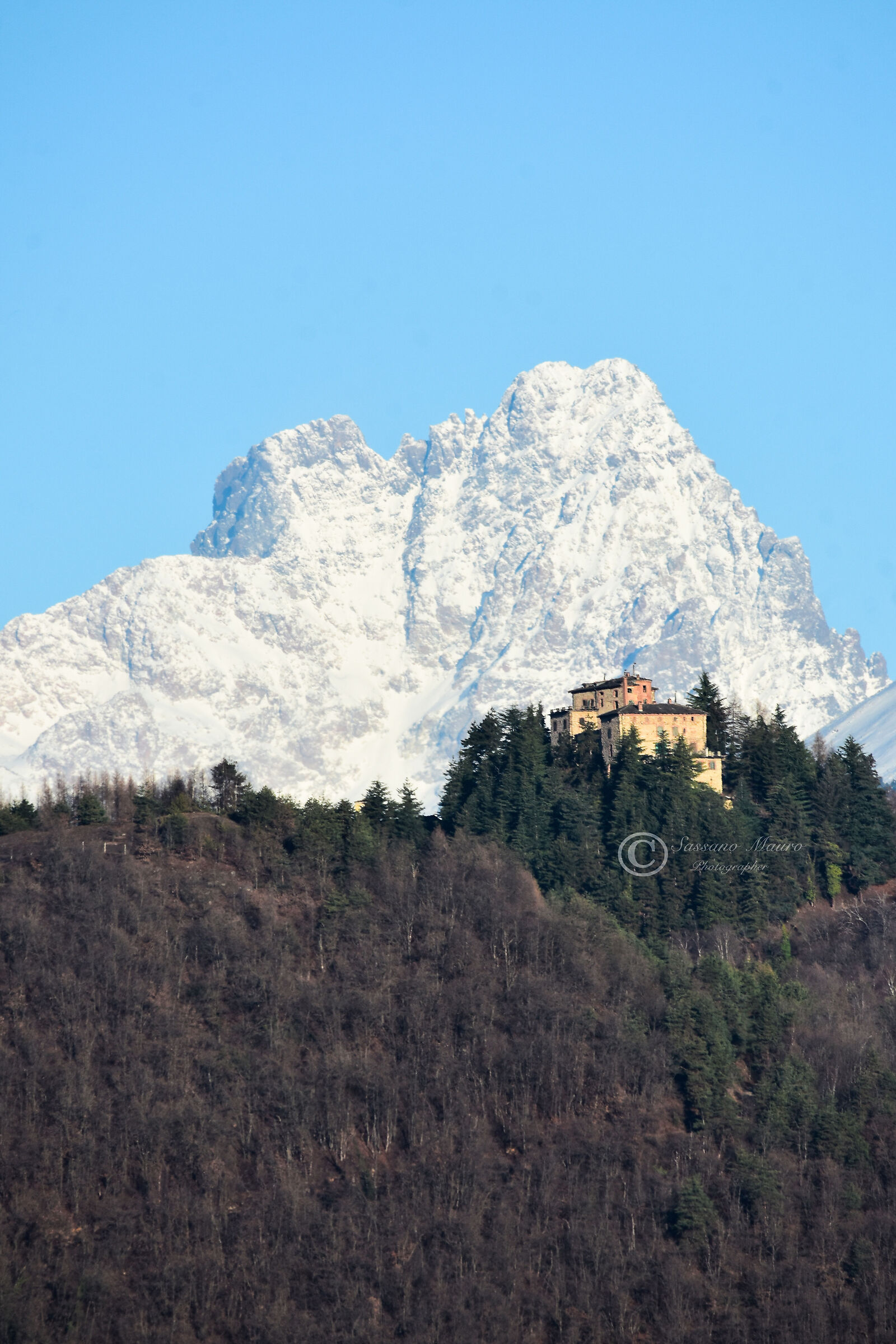 The Majestic King of Stone