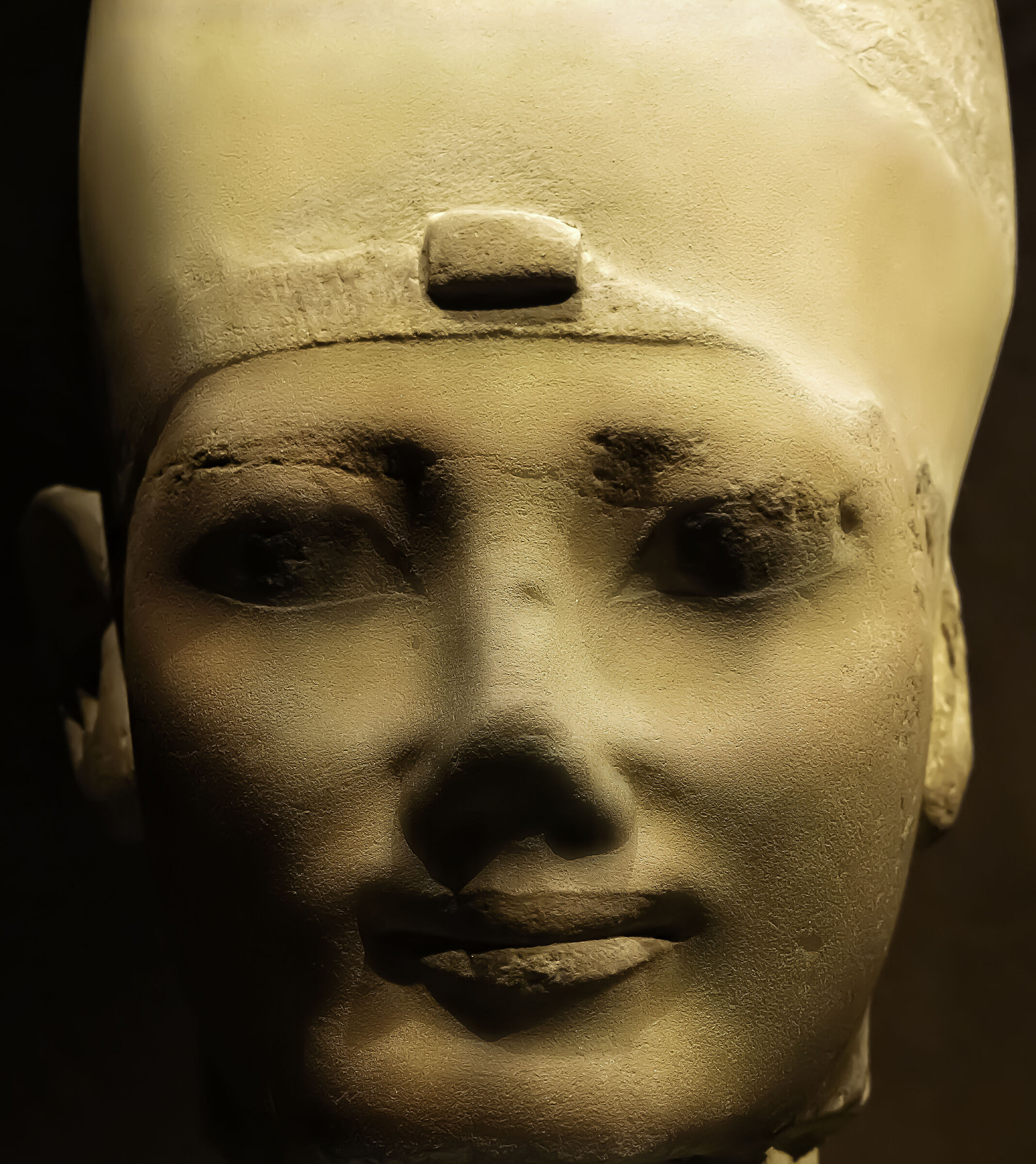 Enigmatic smile