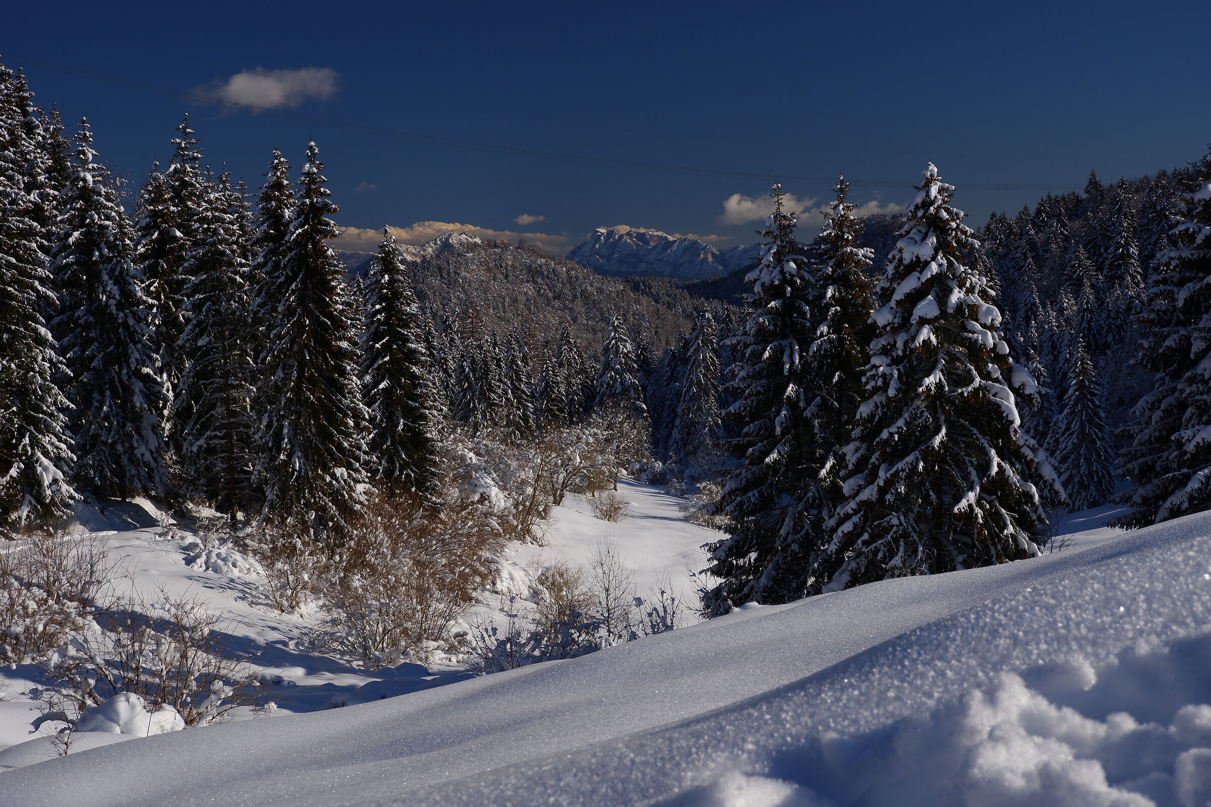 Zona Rossa-Zona Bianca