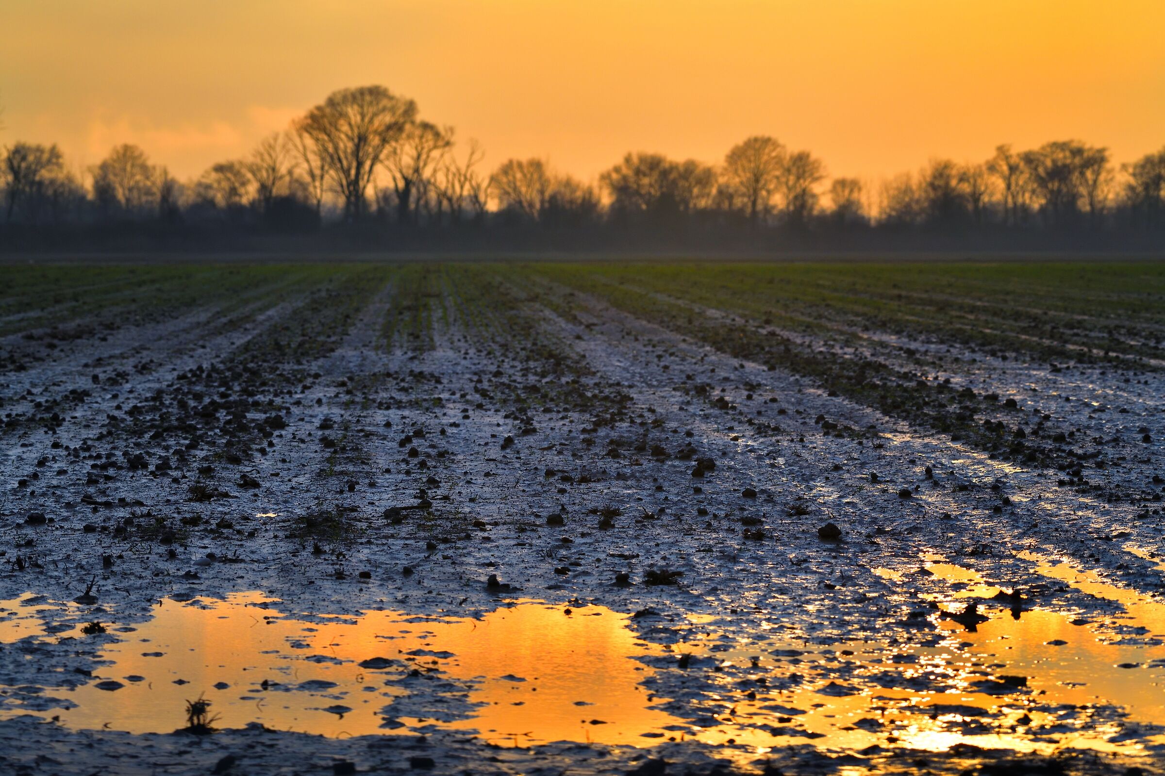 tramonto su pozzanghera...