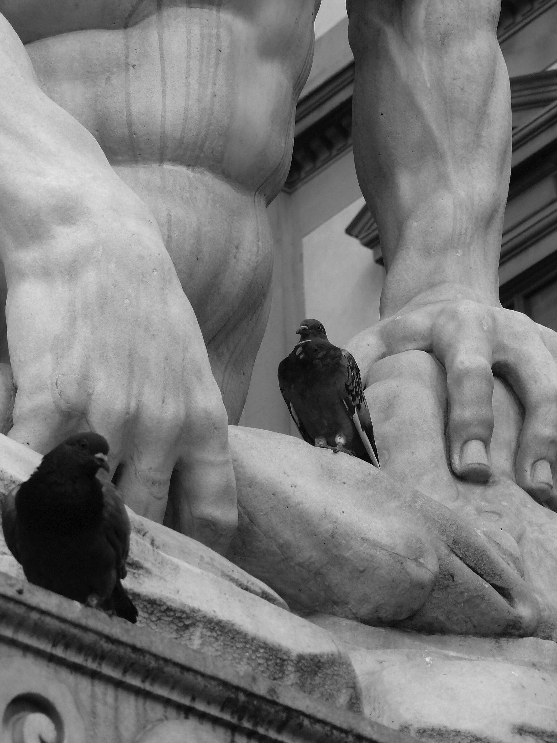 Florence 2015