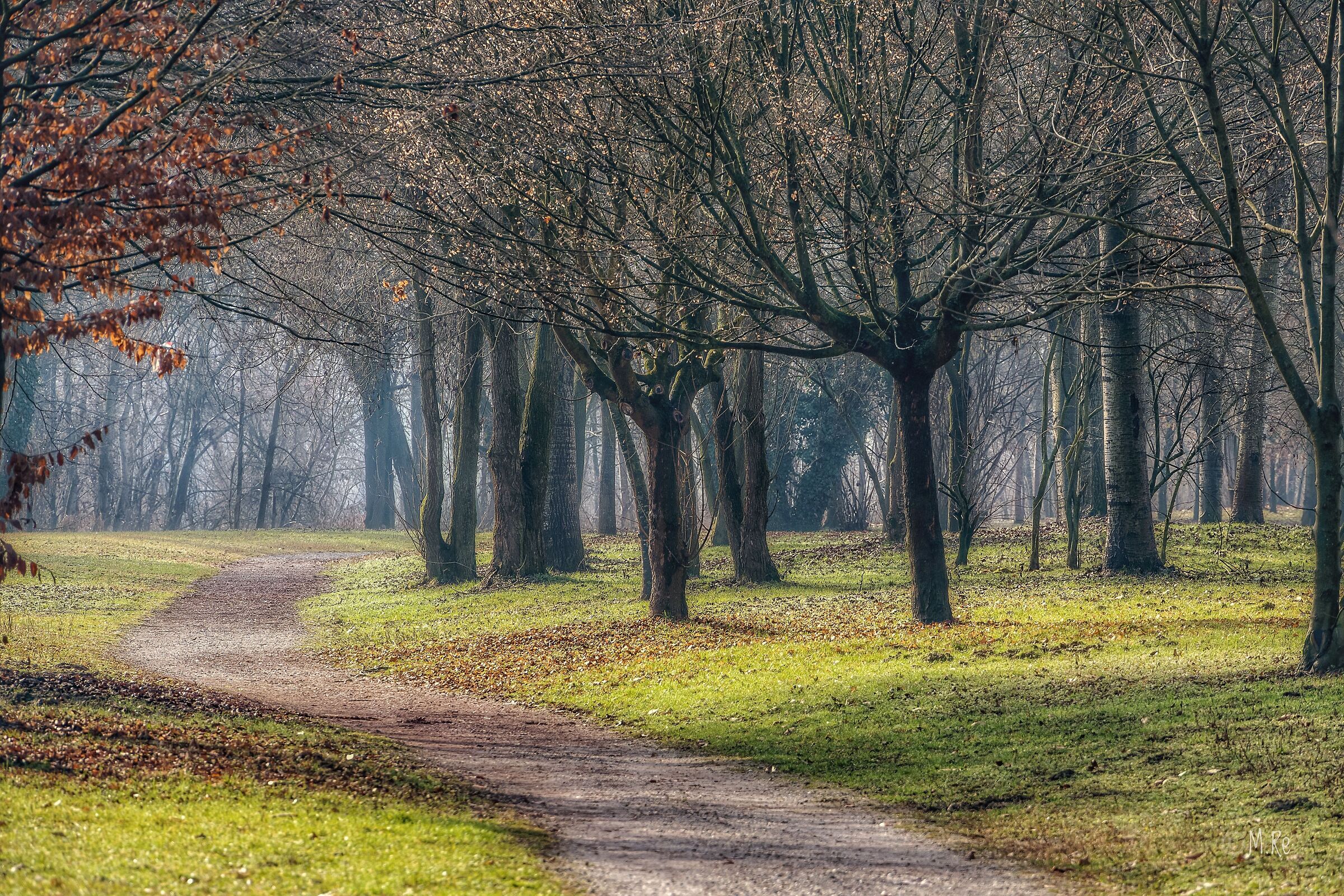 Passeggiata nel parco