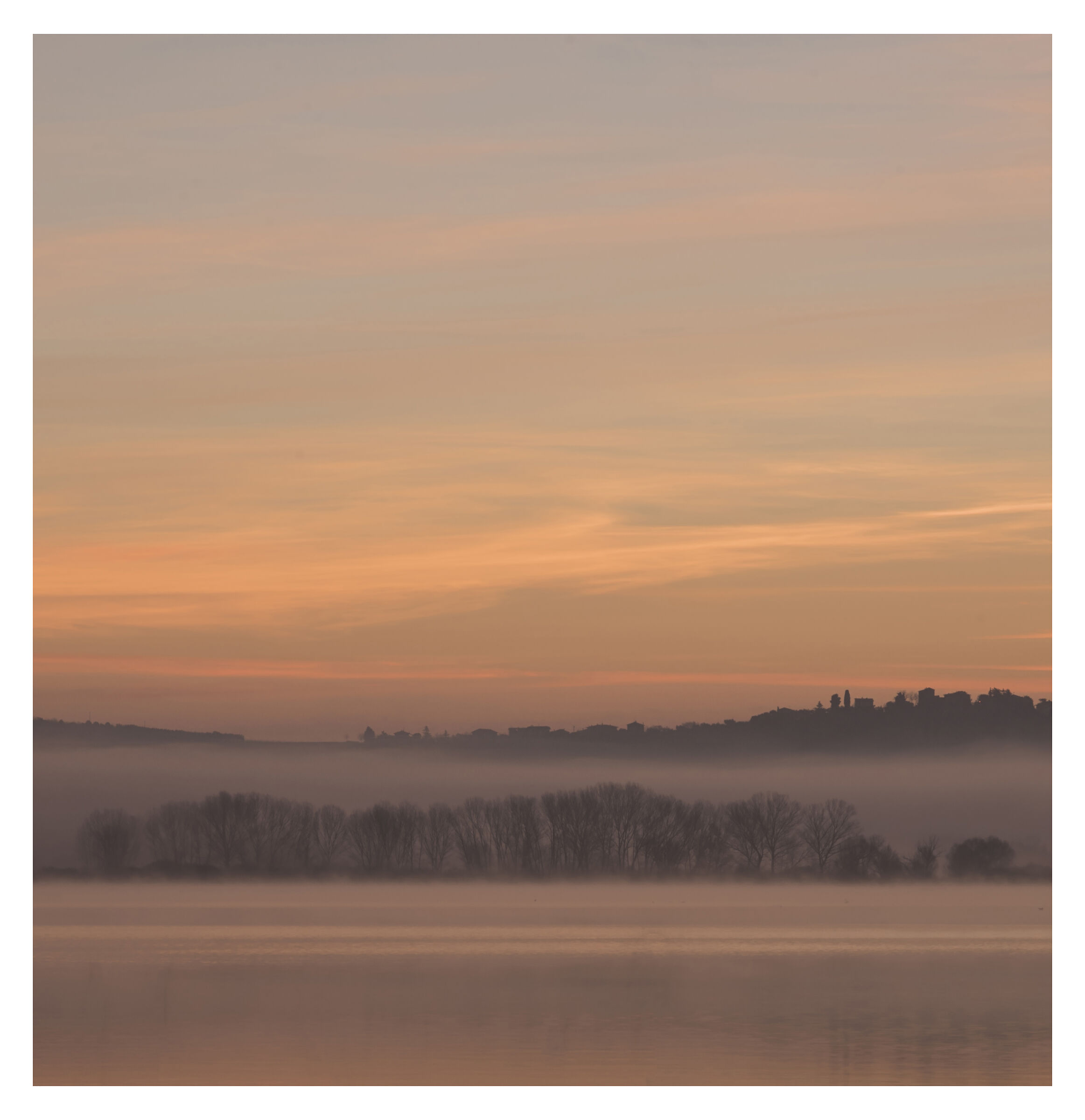 Pastel foggy sunrise