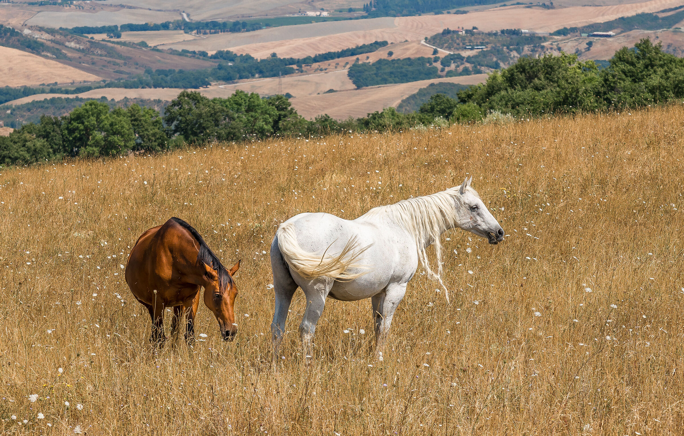 we are free............