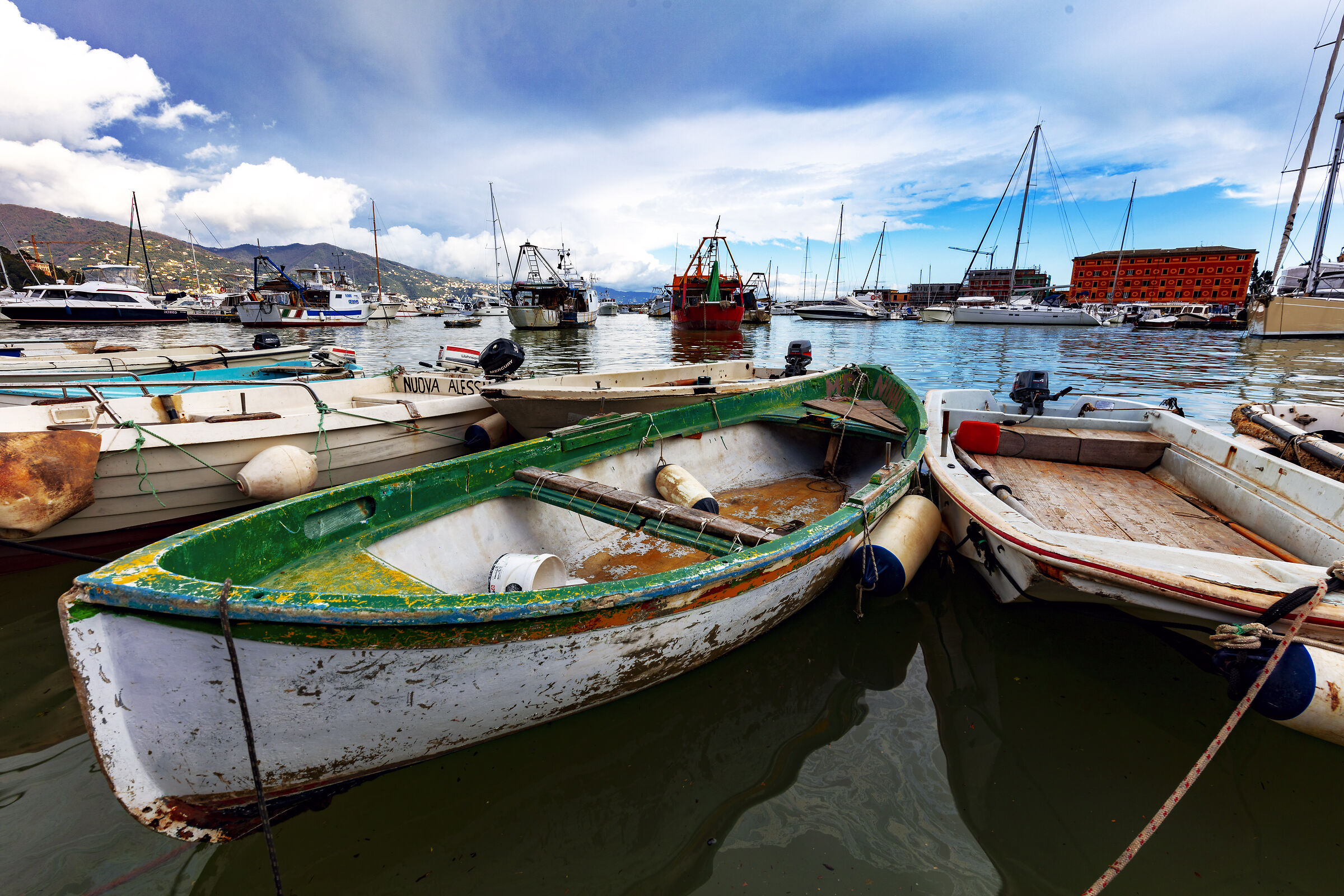 La barca dell'imbianchino