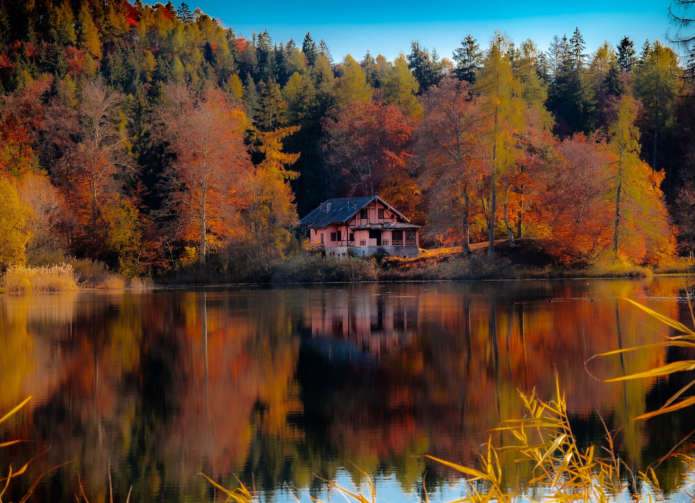 foliage property