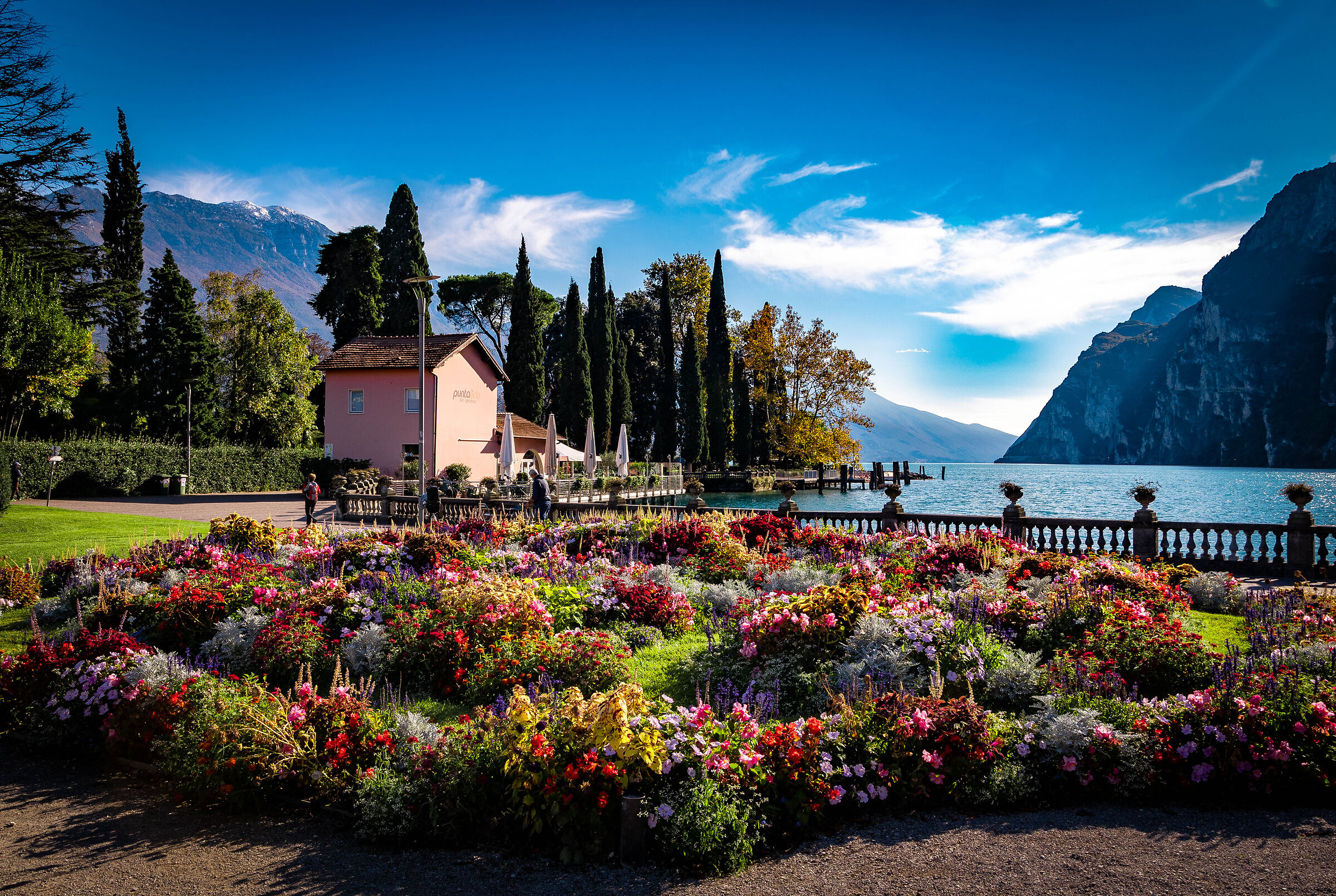 Garda in bloom