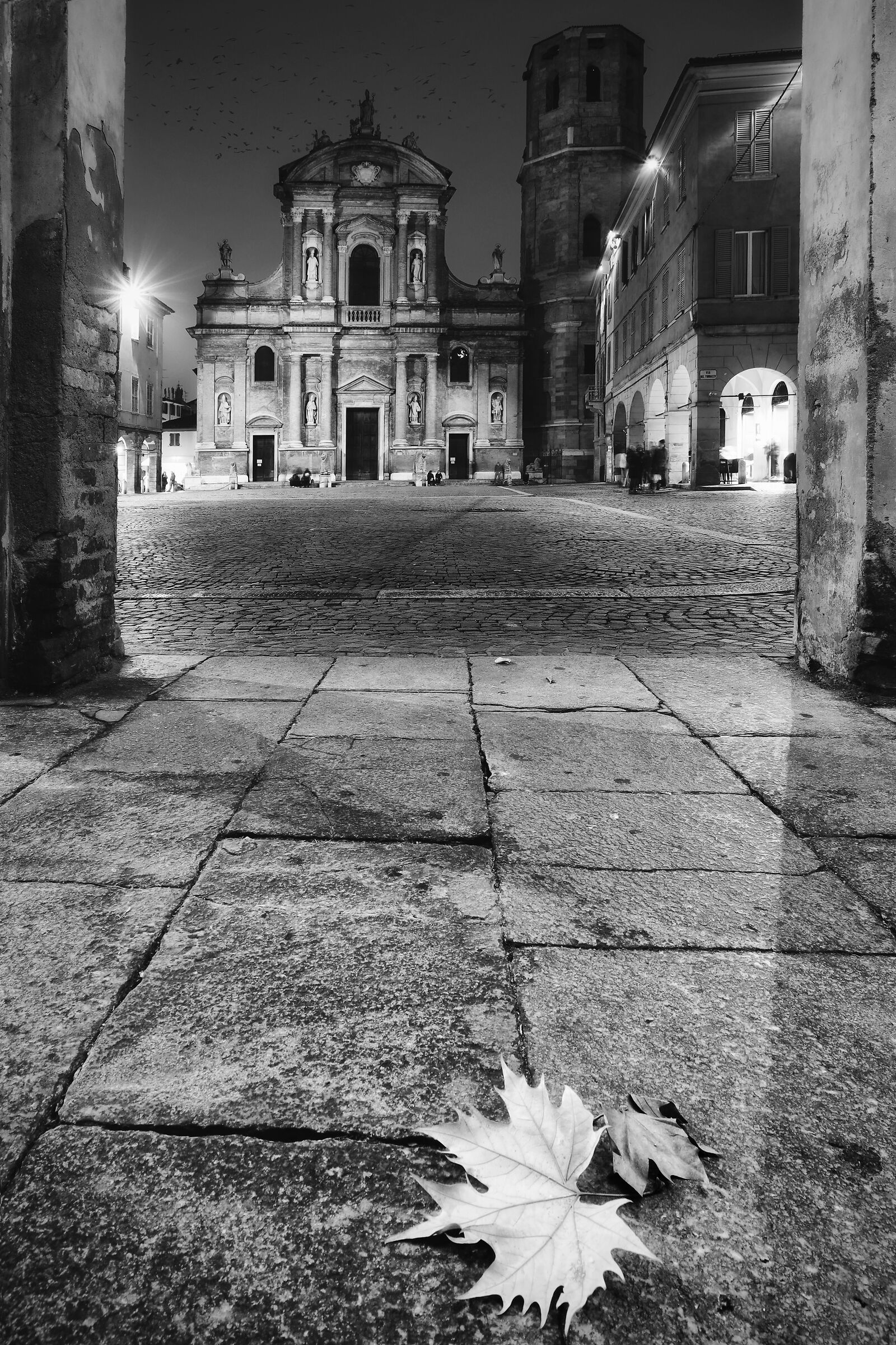 A Saturday of freedom.