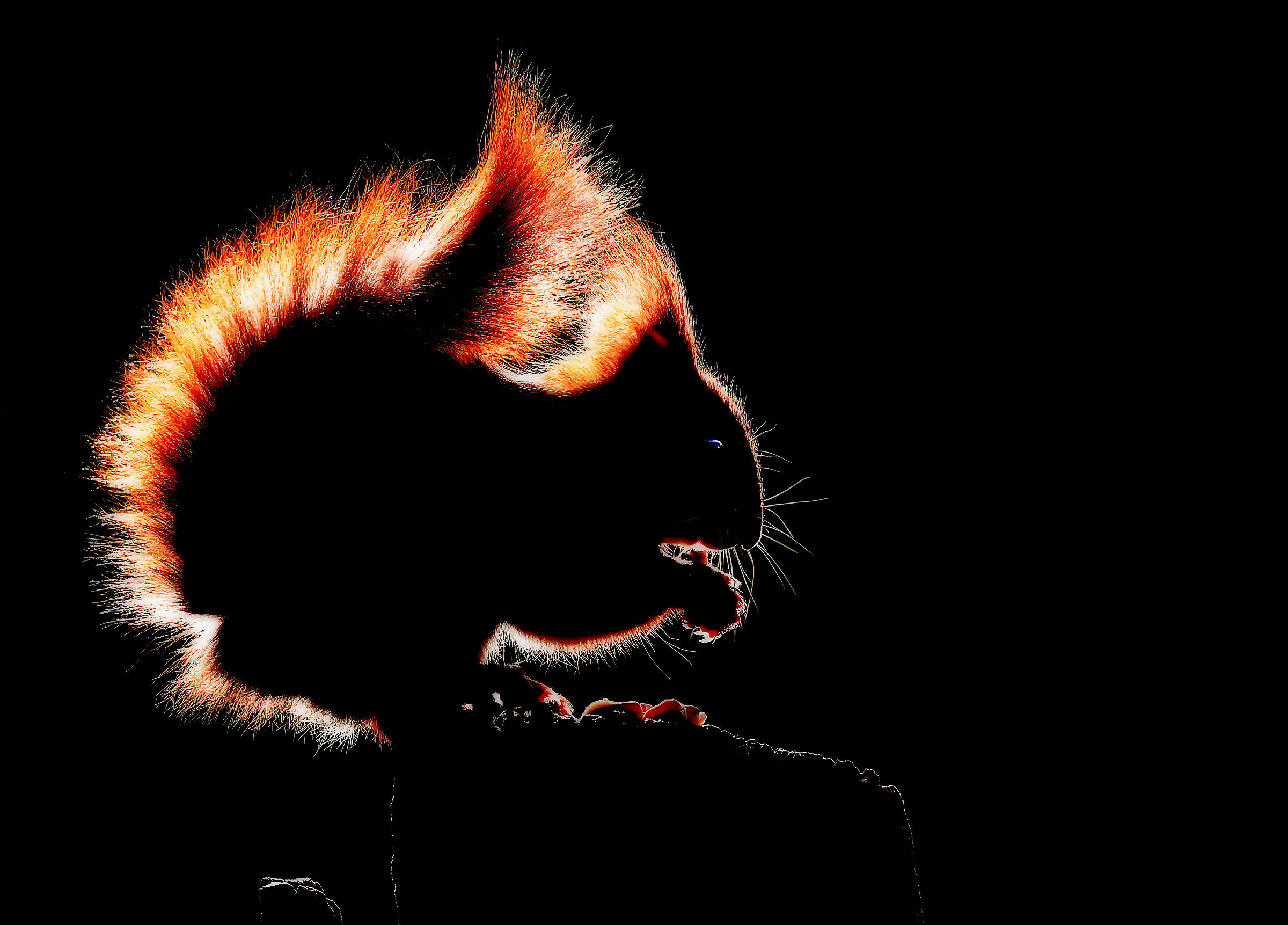 " Simply... RED..."
