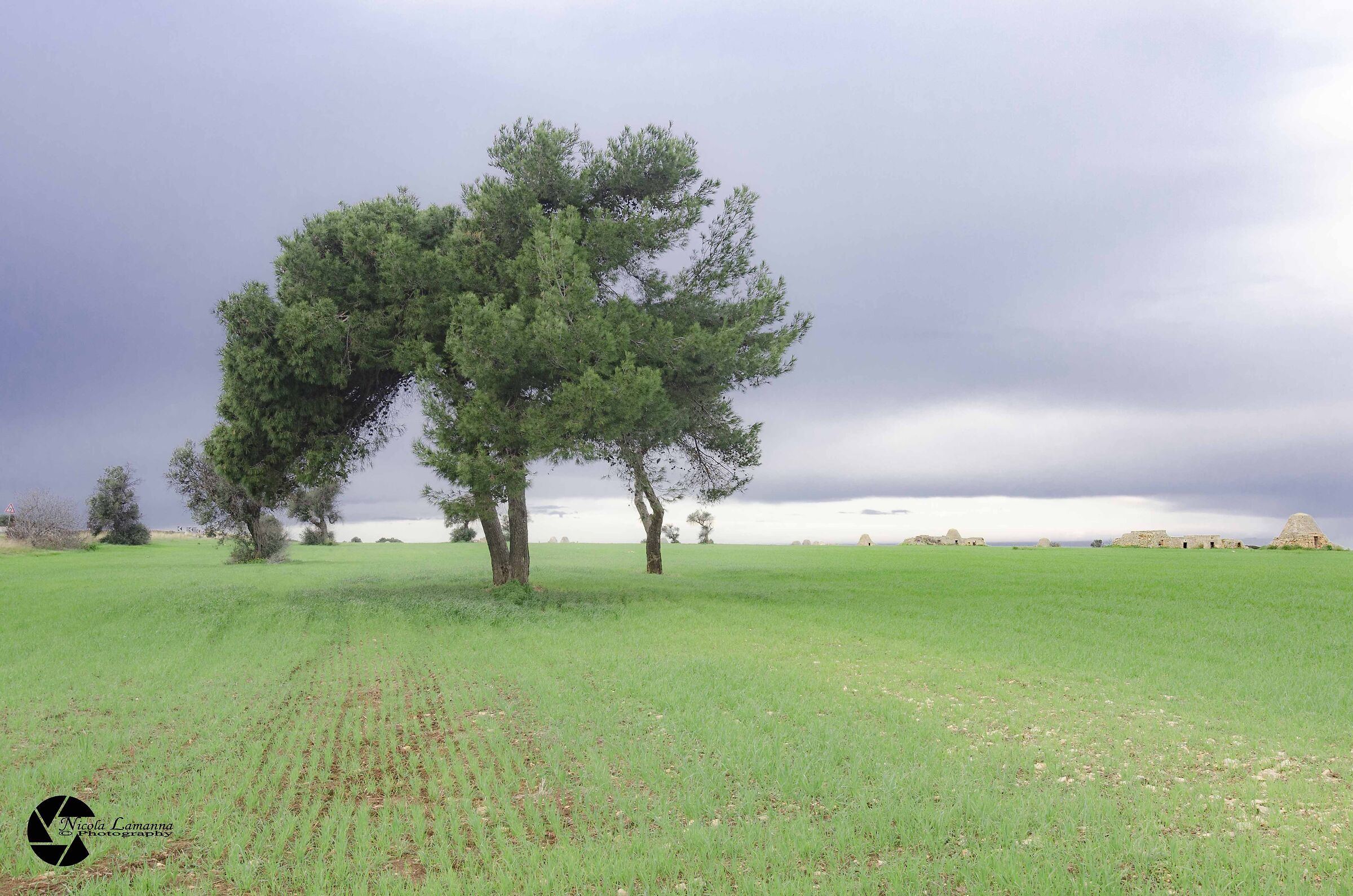 Untitled Photo