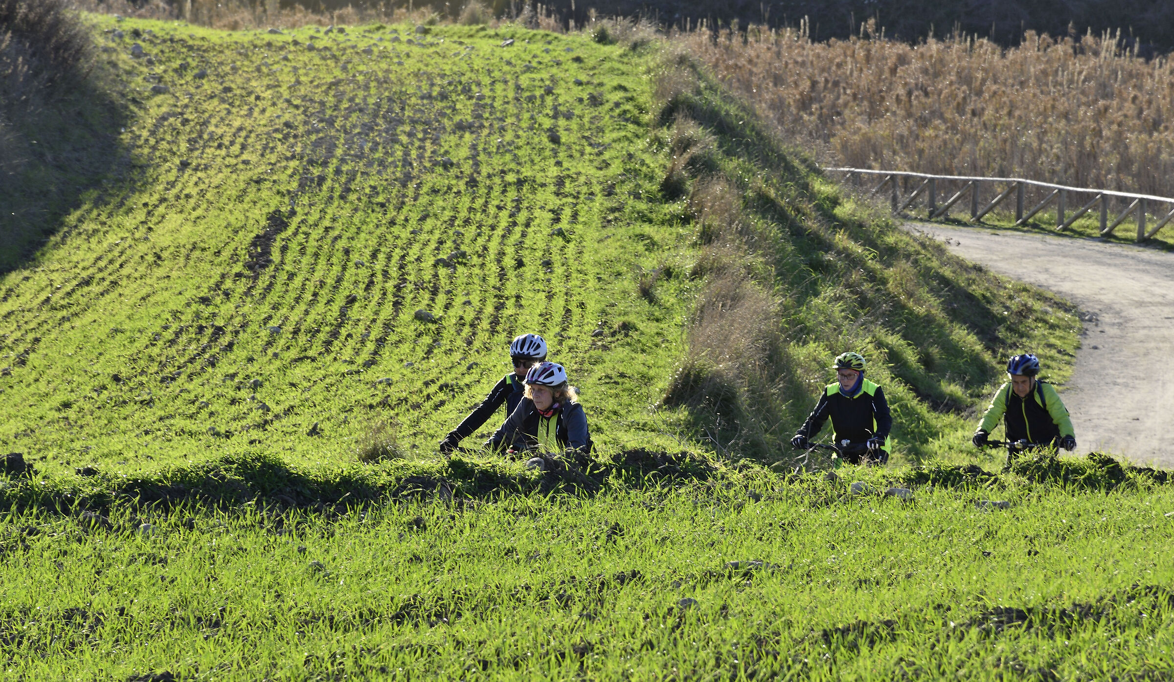 Literally surrounded by greenery
