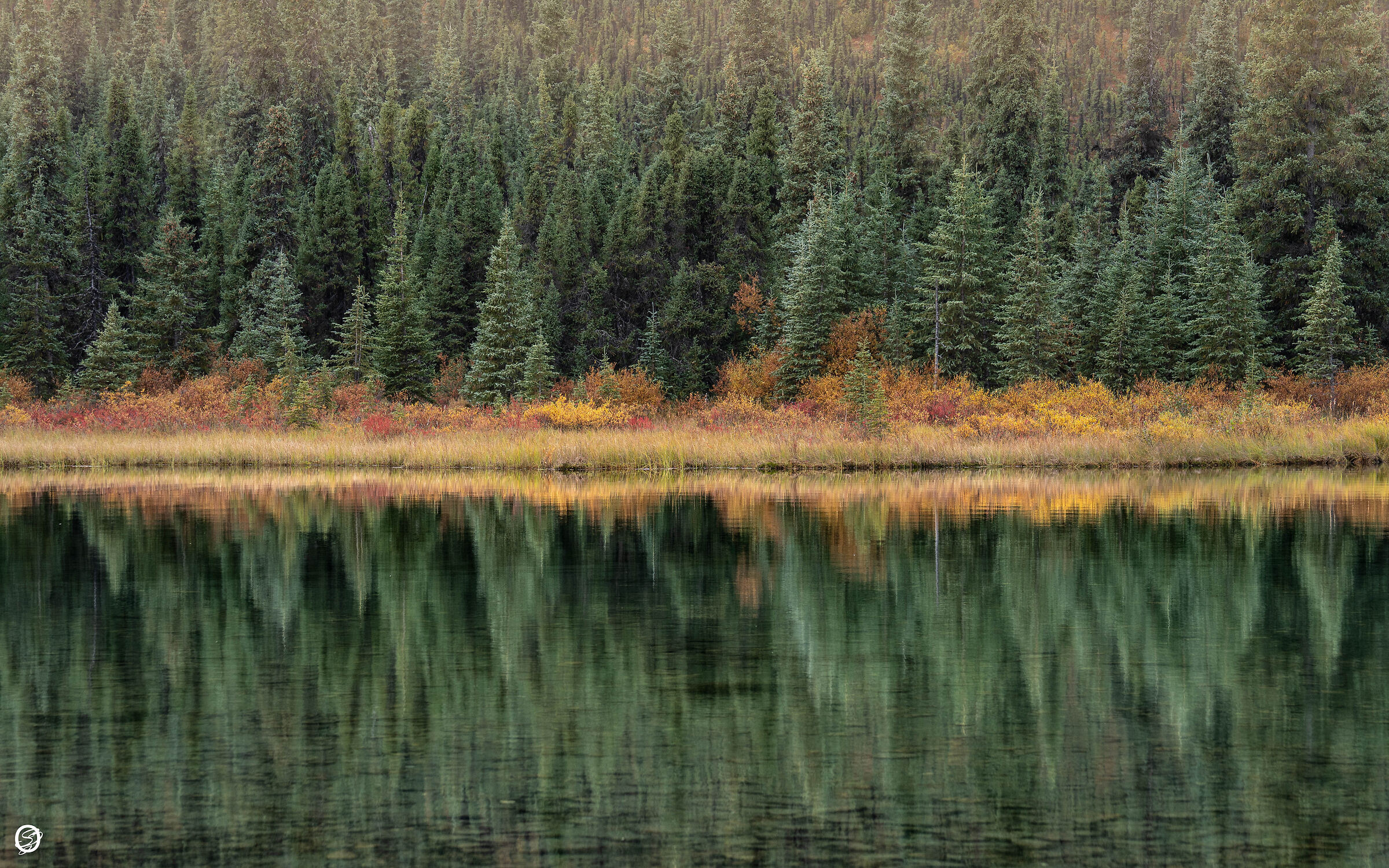 Morning at Wonder Lake