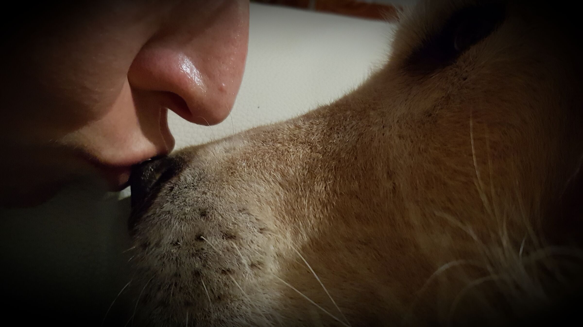 On the tip of truffles