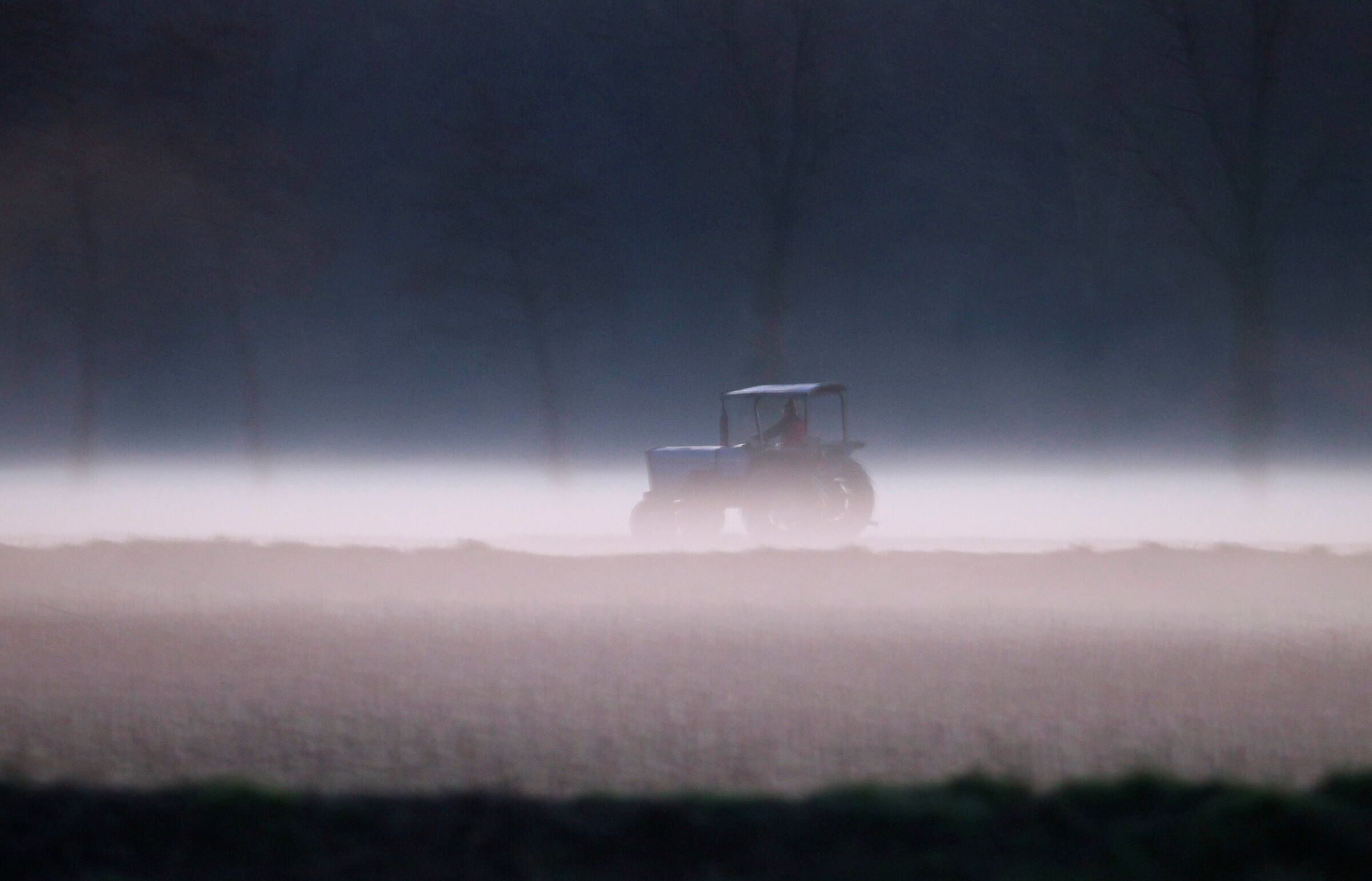 La carezza della nebbia