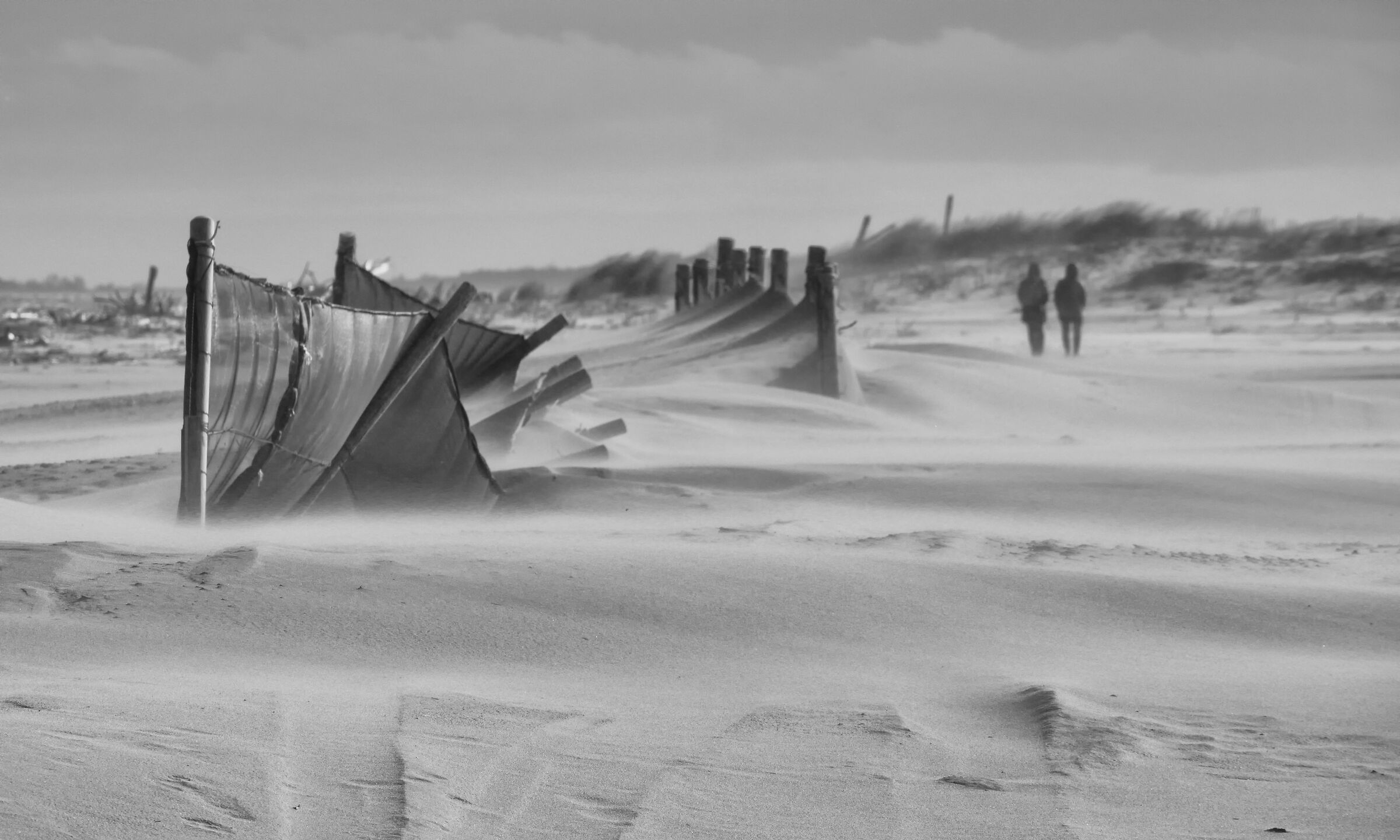 This winter shakes me too