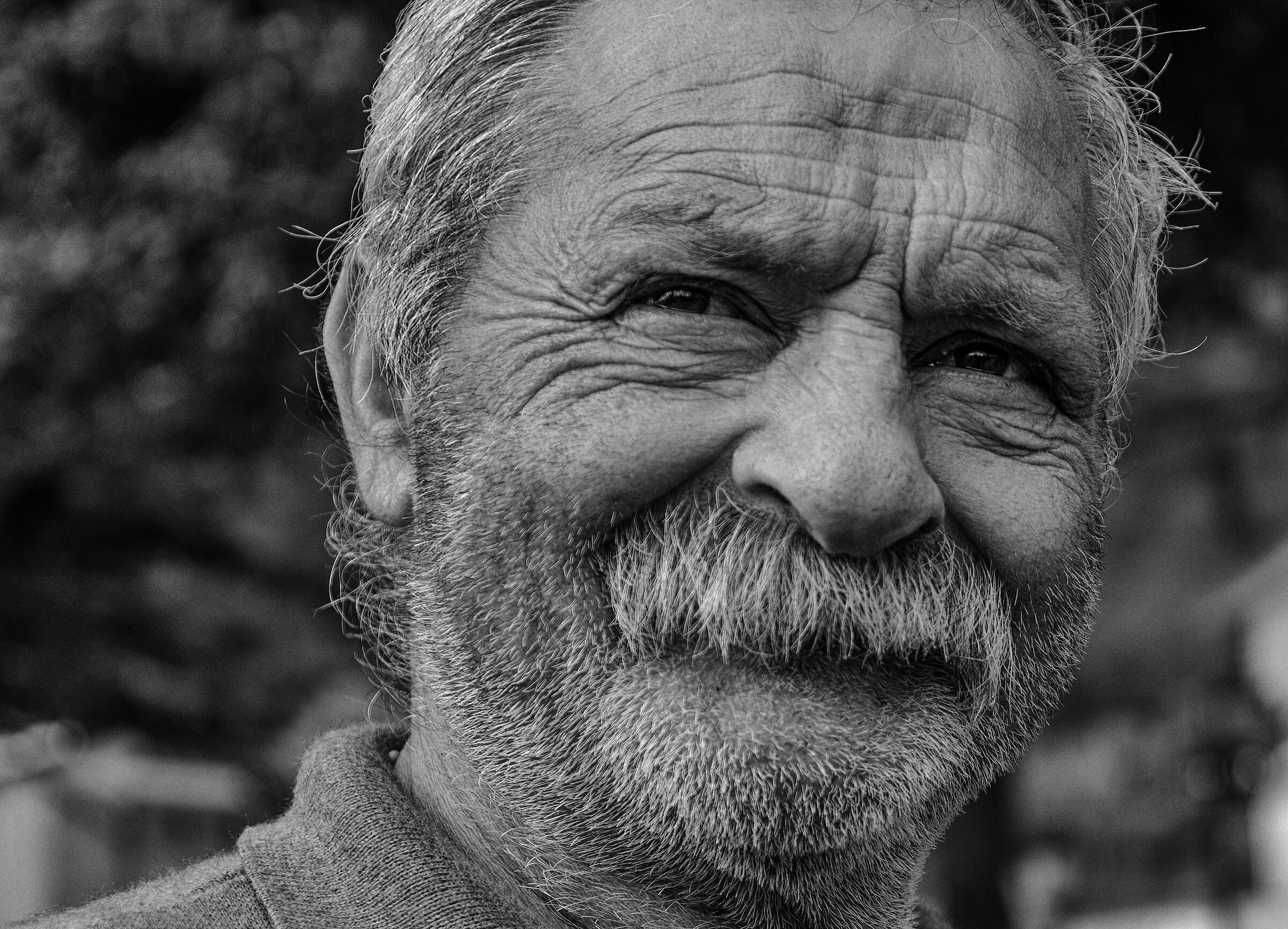 Alla Sagra della castagna