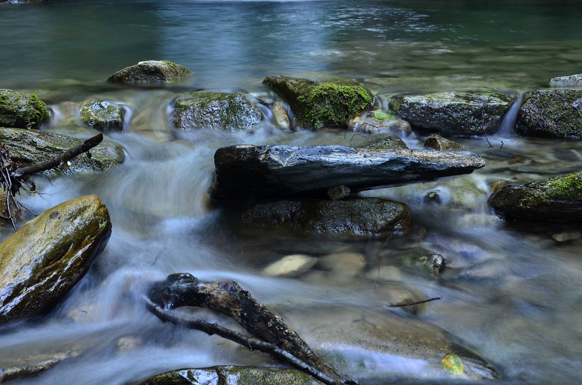 Lake detail Baucin | Liguria | Montegrosso Pian Latt