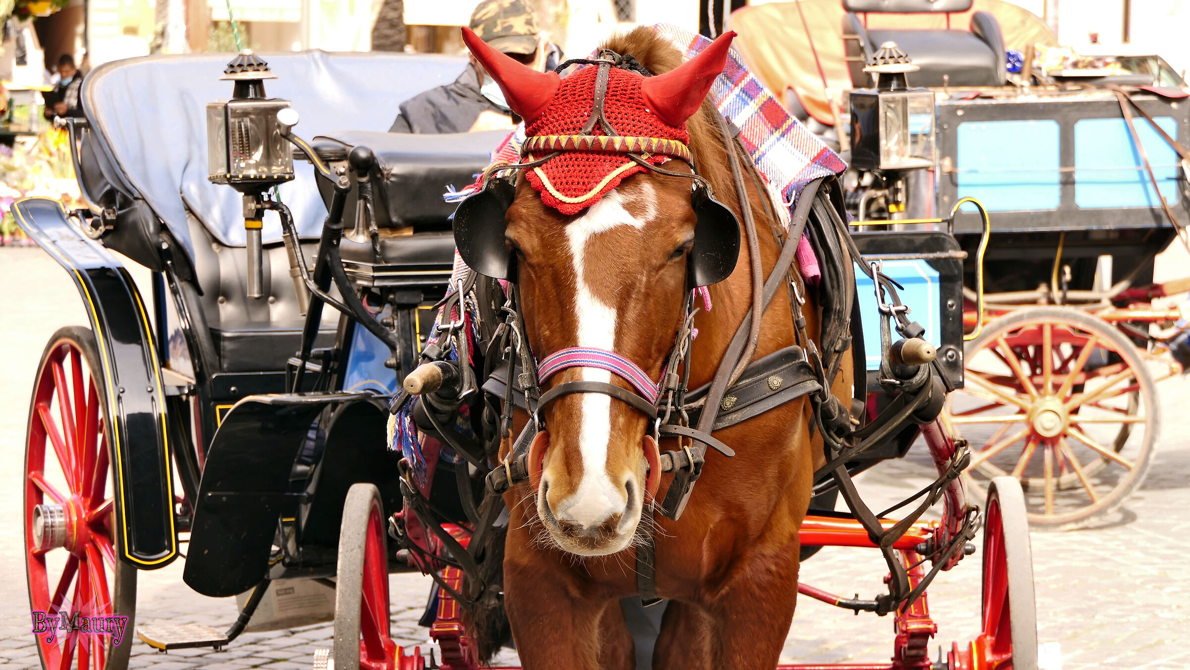 Horse and Carriage