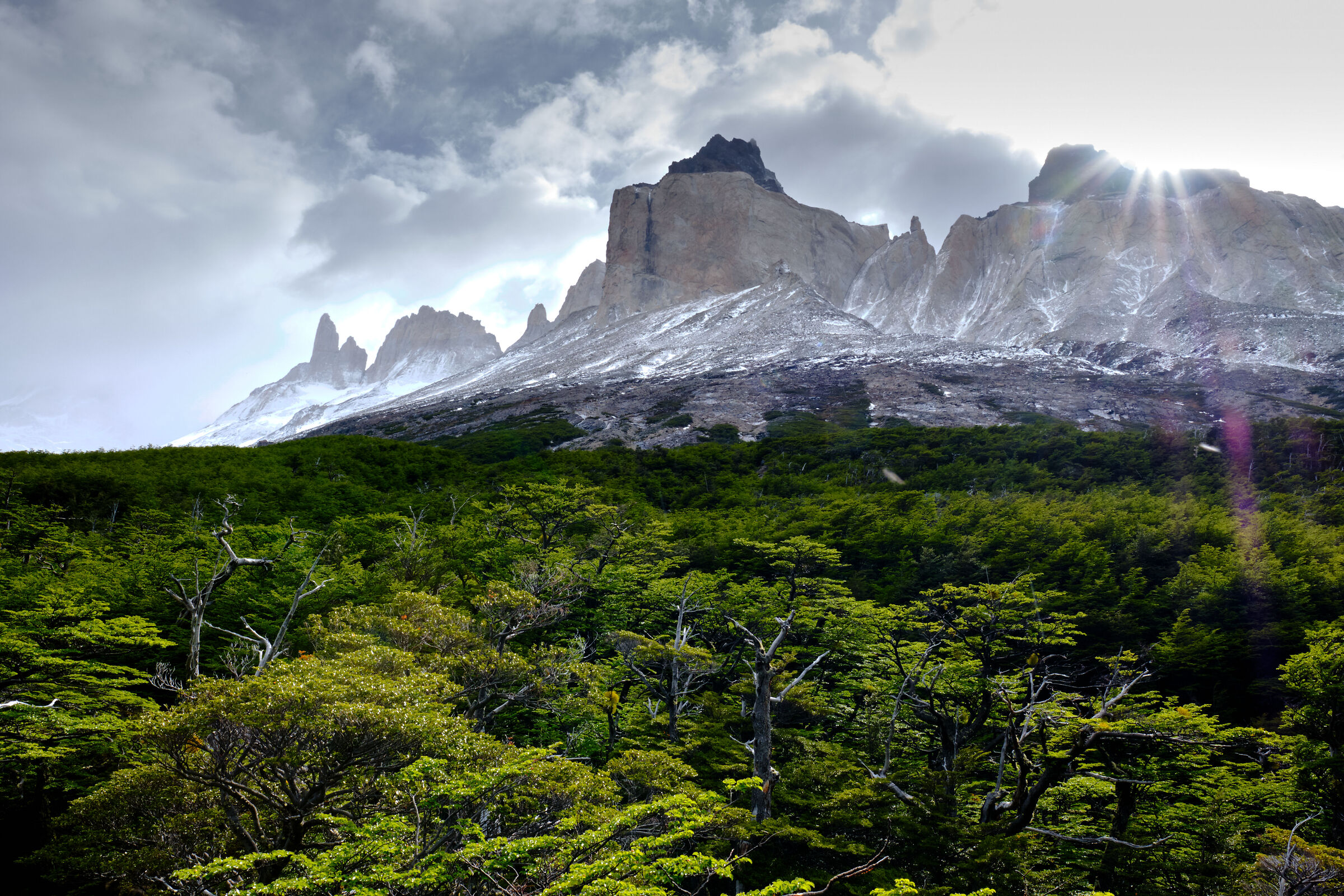 Torres del paine