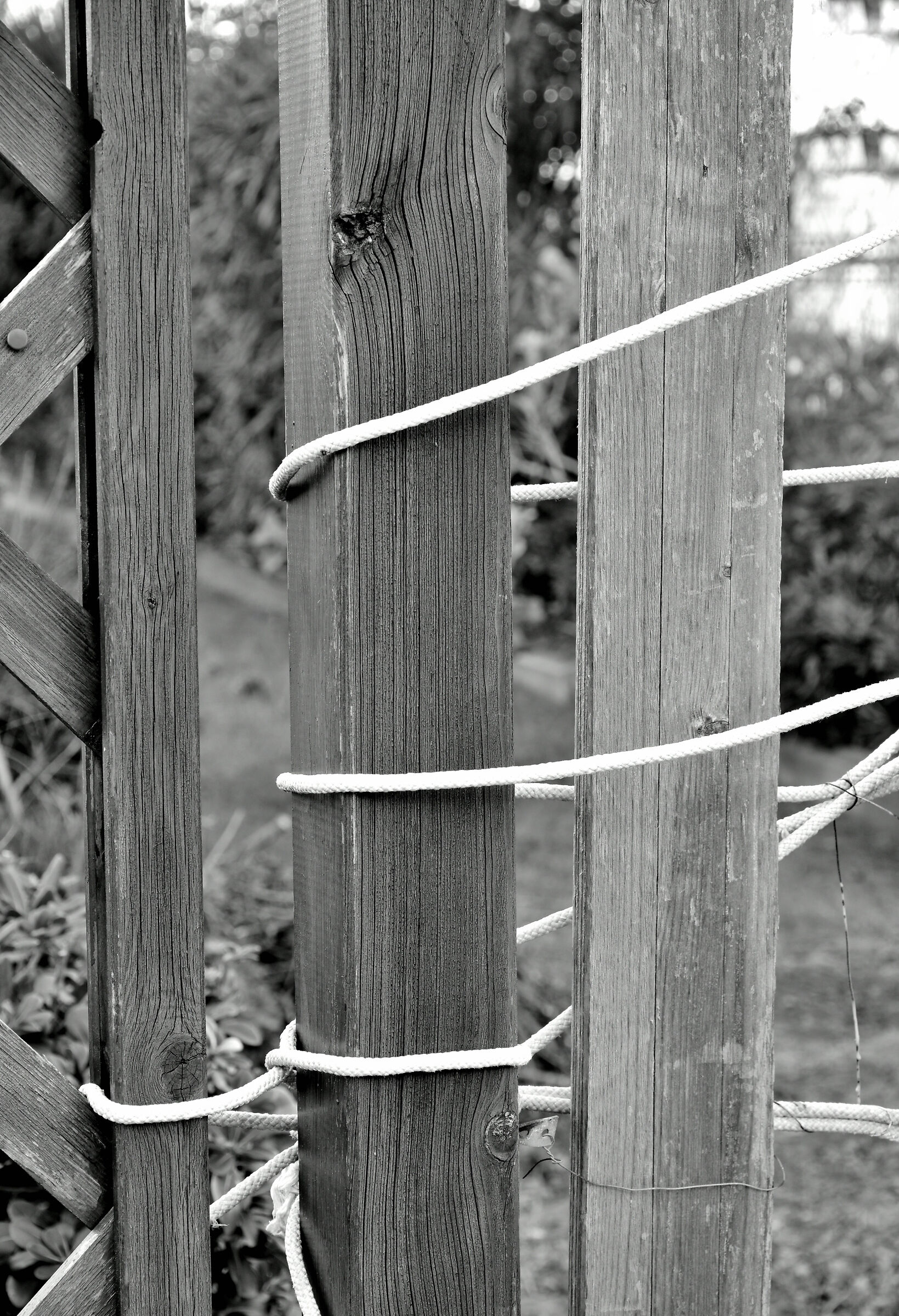 Different, but united