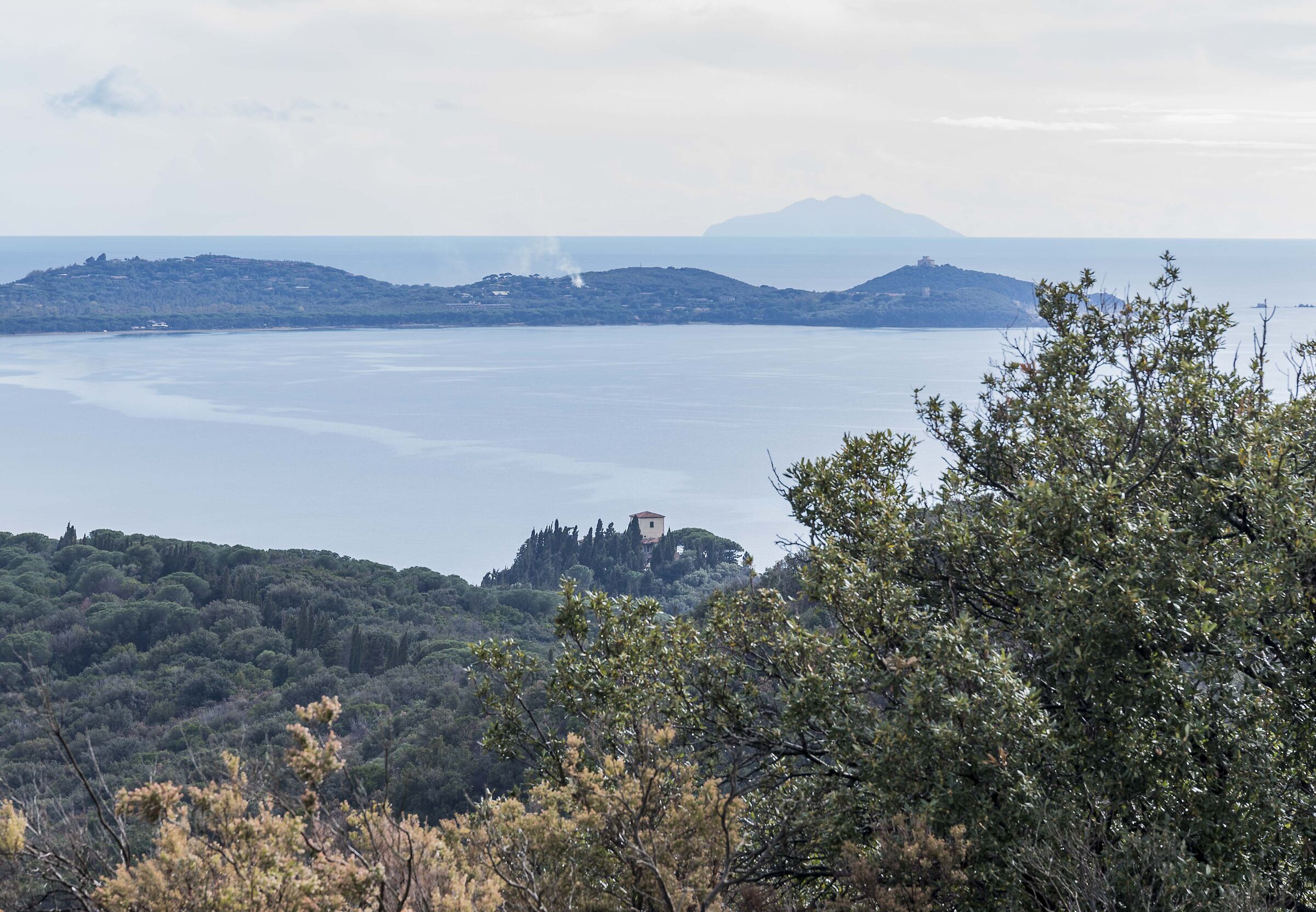 Cala Civette e Montecristo