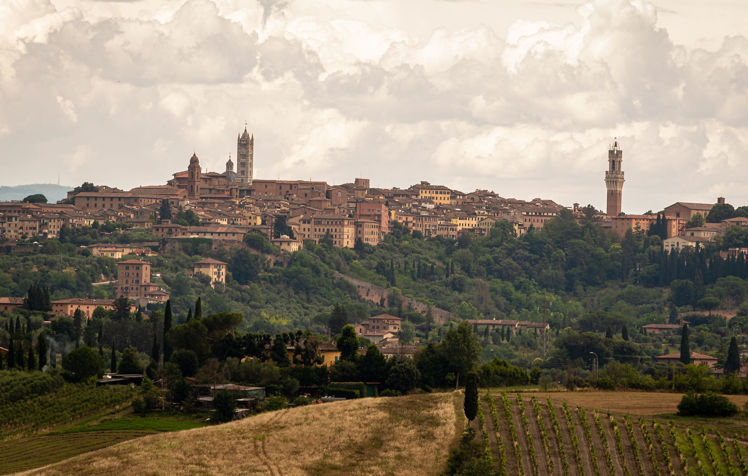 POV of Siena