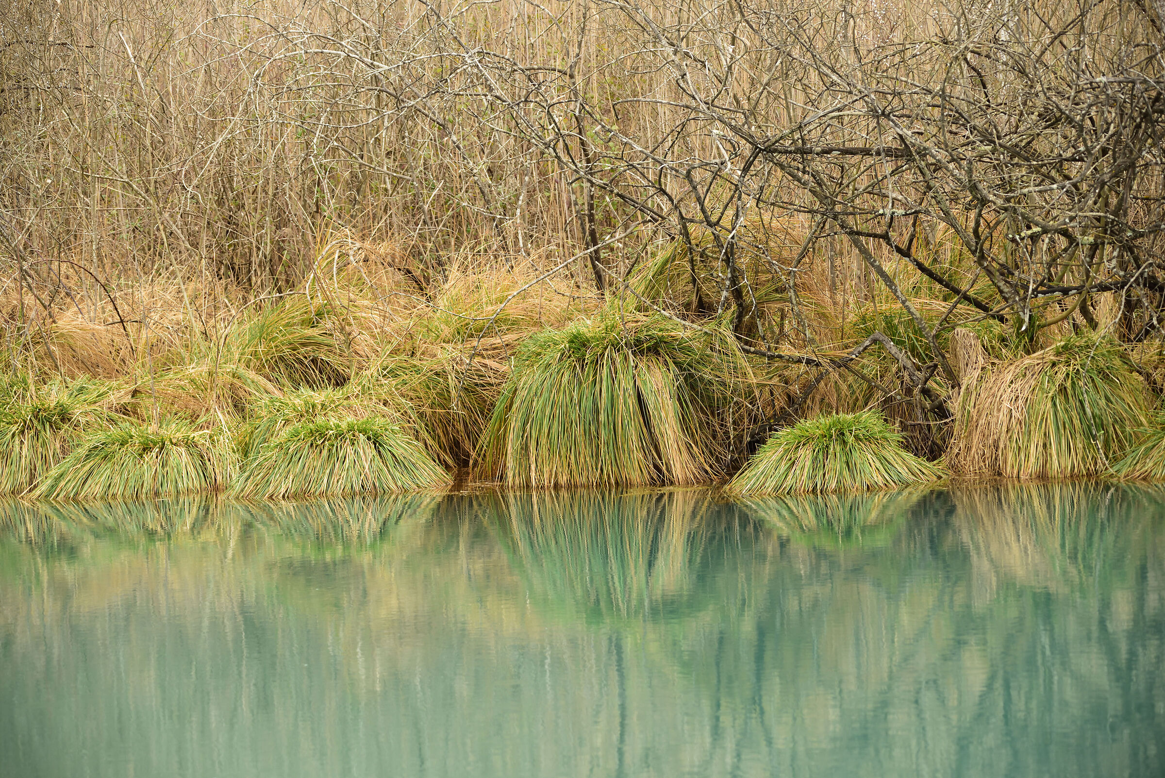 Particolare del Lago di Posta Fibreno