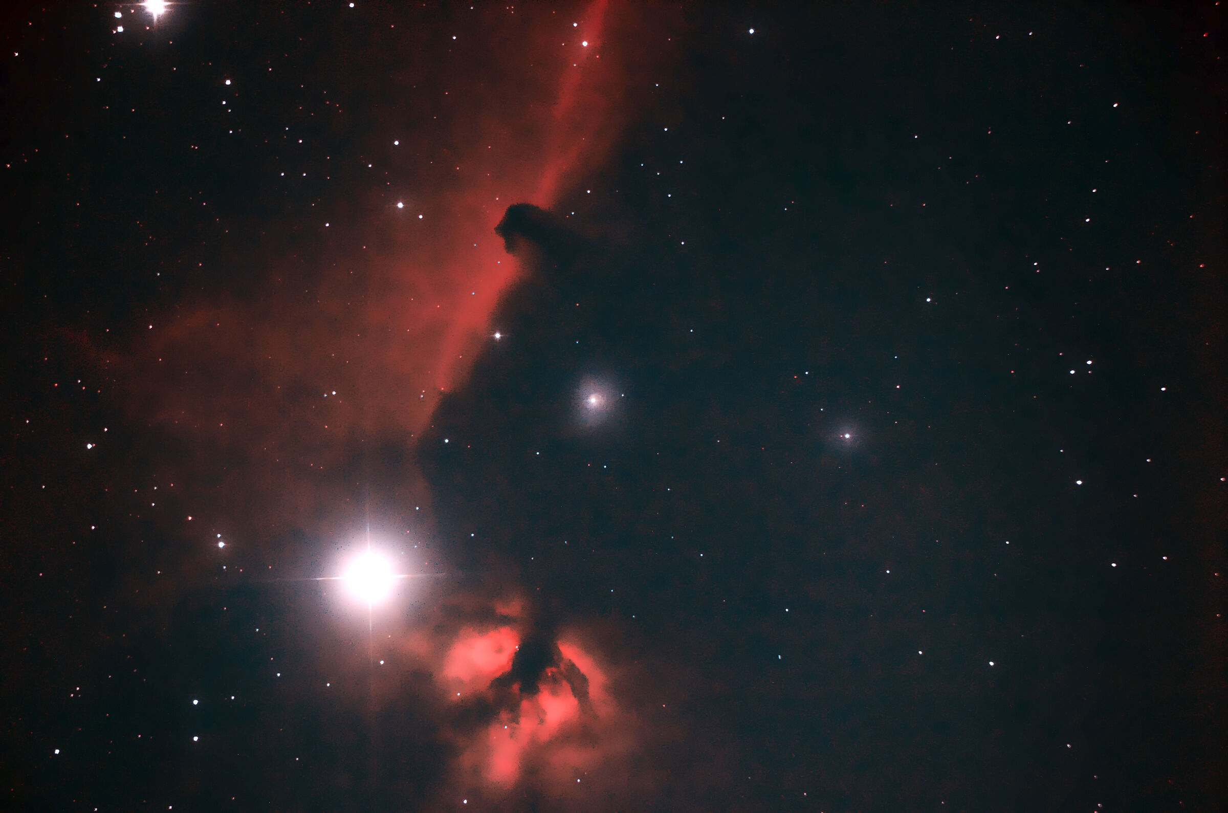 testa di cavallo in orione