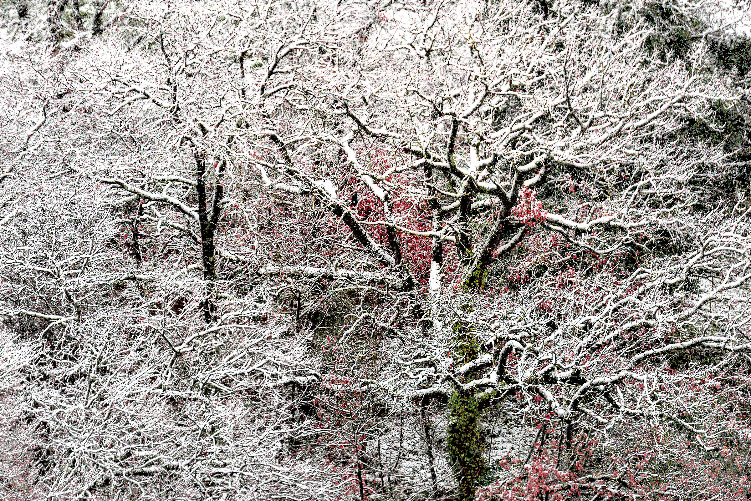 davanti casa mia oggi