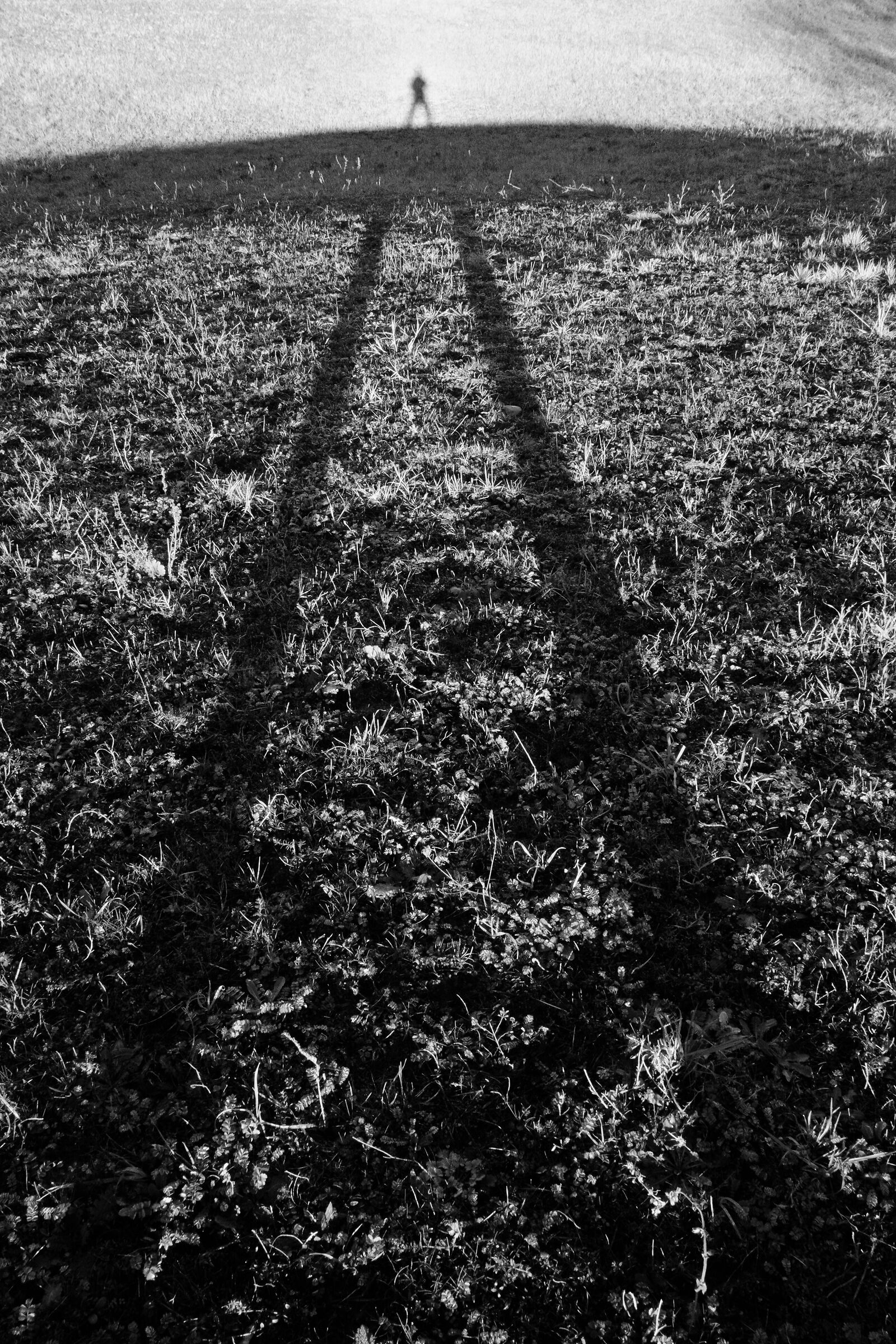 Seeeeeeelfie in ombra