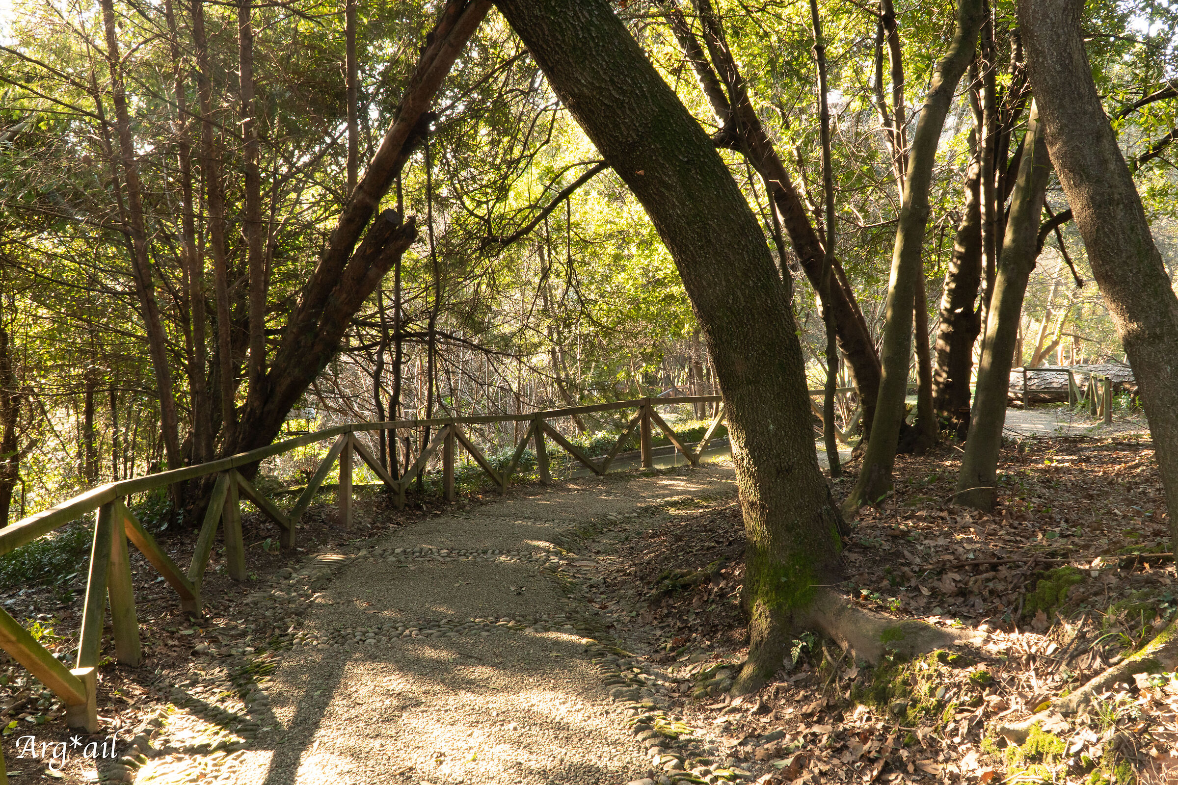 Path