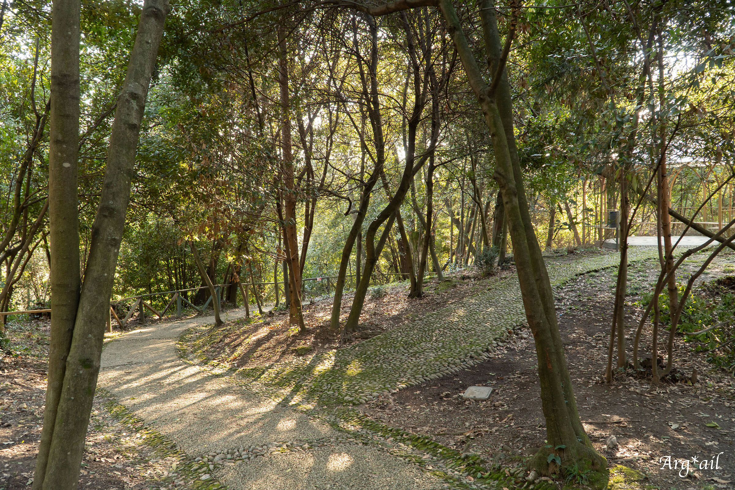 Path