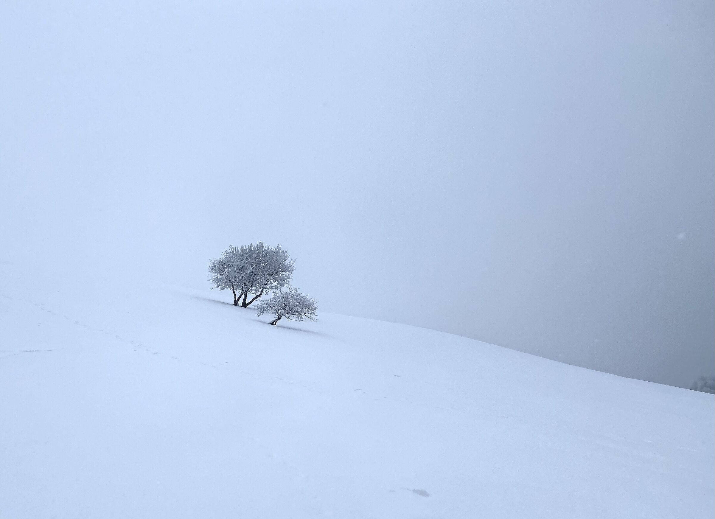 I feel alone in the middle of nothing